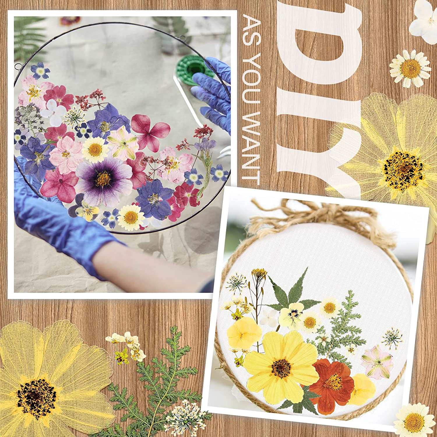 dried_flower - preserved_flower - fake_flower - Pressed Flowers Resin for Resin Mold Real Natural Daisy Dried Leaves - Molly Garden - Molly_Garden_Floral
