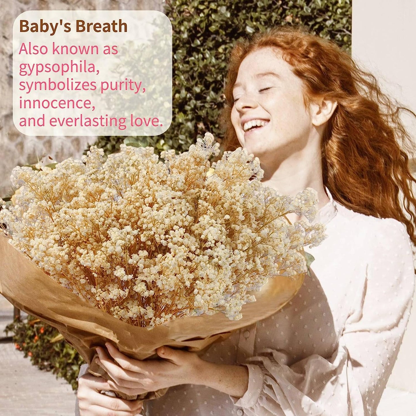 dried_flower - preserved_flower - fake_flower - 6500+ Large Dried Babys Breath Flowers Bouquet Upgraded Package Ivory White Bulk - Molly Garden - Molly_Garden_Floral