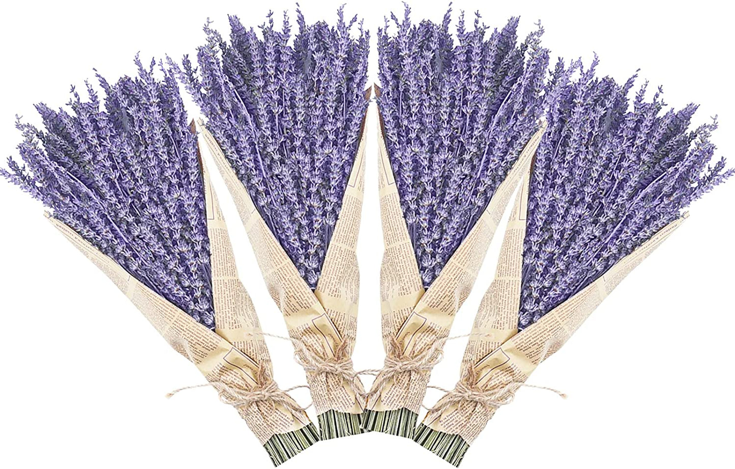 dried_flower - preserved_flower - fake_flower - 280-300Stems 16“ Dried Lavender Bundles Natural Flowers Arrangements for Home - Molly Garden - Molly_Garden_Floral