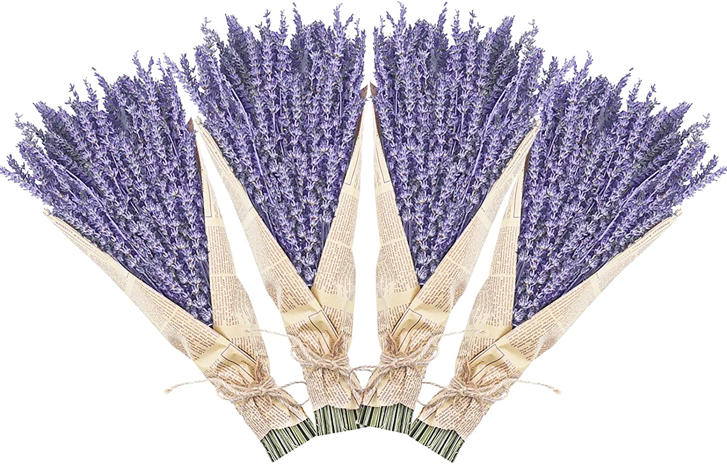 dried_flower - preserved_flower - fake_flower - 280-300Stems 16“ Dried Lavender Bundles Natural Flowers Arrangements for Home - Molly Garden - Molly_Garden_Floral