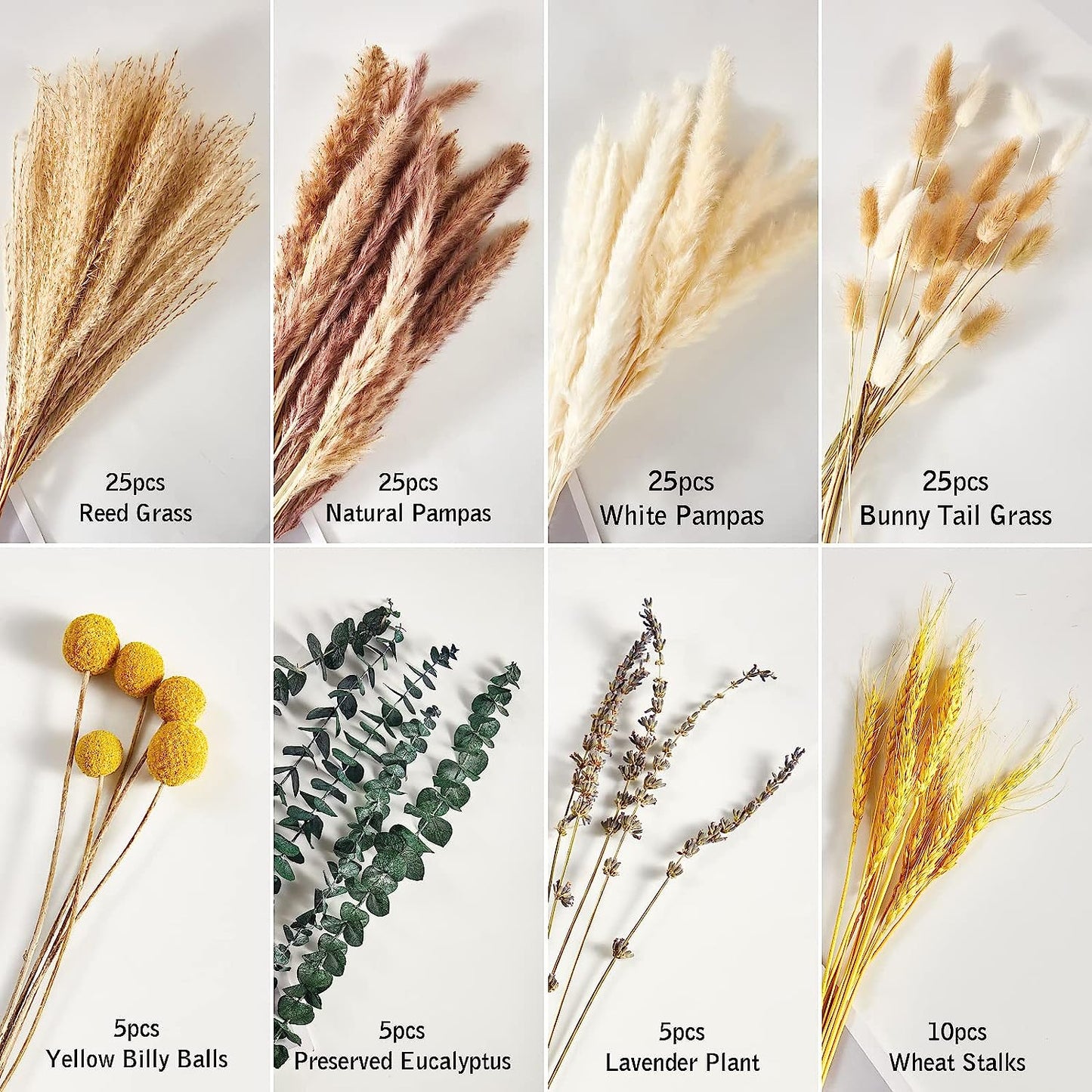 dried_flower - preserved_flower - fake_flower - 125Pcs Mixed Pompas Flowers Bouquet with 8 Kinds of Dried Plants Branches - Molly Garden - Molly_Garden_Floral