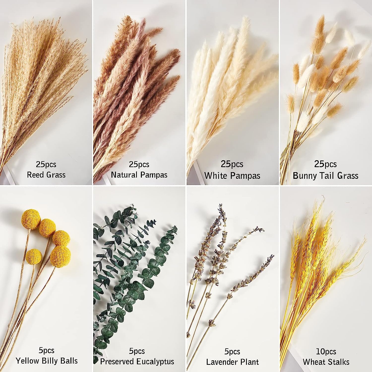 dried_flower - preserved_flower - fake_flower - 125Pcs Mixed Pompas Flowers Bouquet with 8 Kinds of Dried Plants Branches - Molly Garden - Molly_Garden_Floral