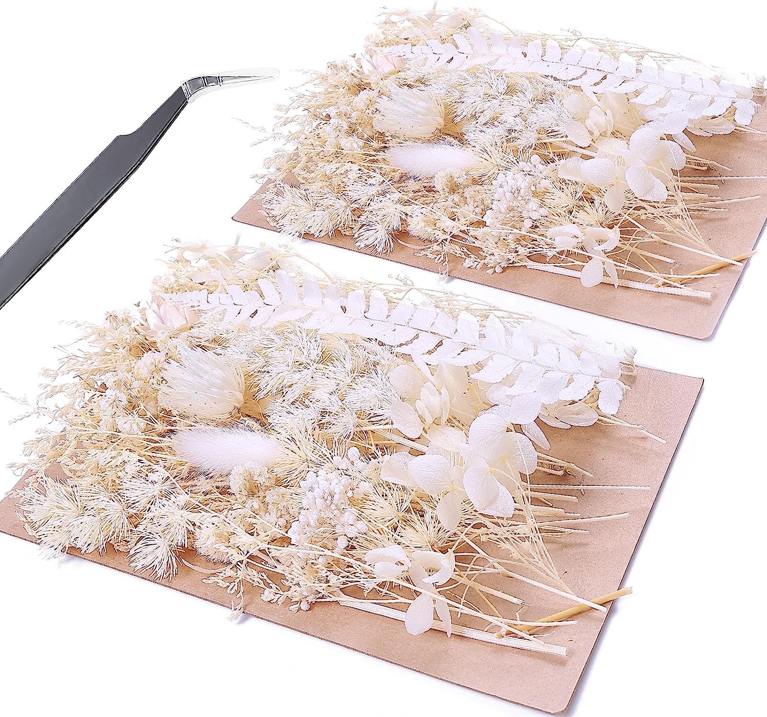 dried_flower - preserved_flower - fake_flower - Real Dried Leaf Flowers Plant Herbarium with Tweezers for Resin Molds Craft - Molly Garden - Molly_Garden_Floral