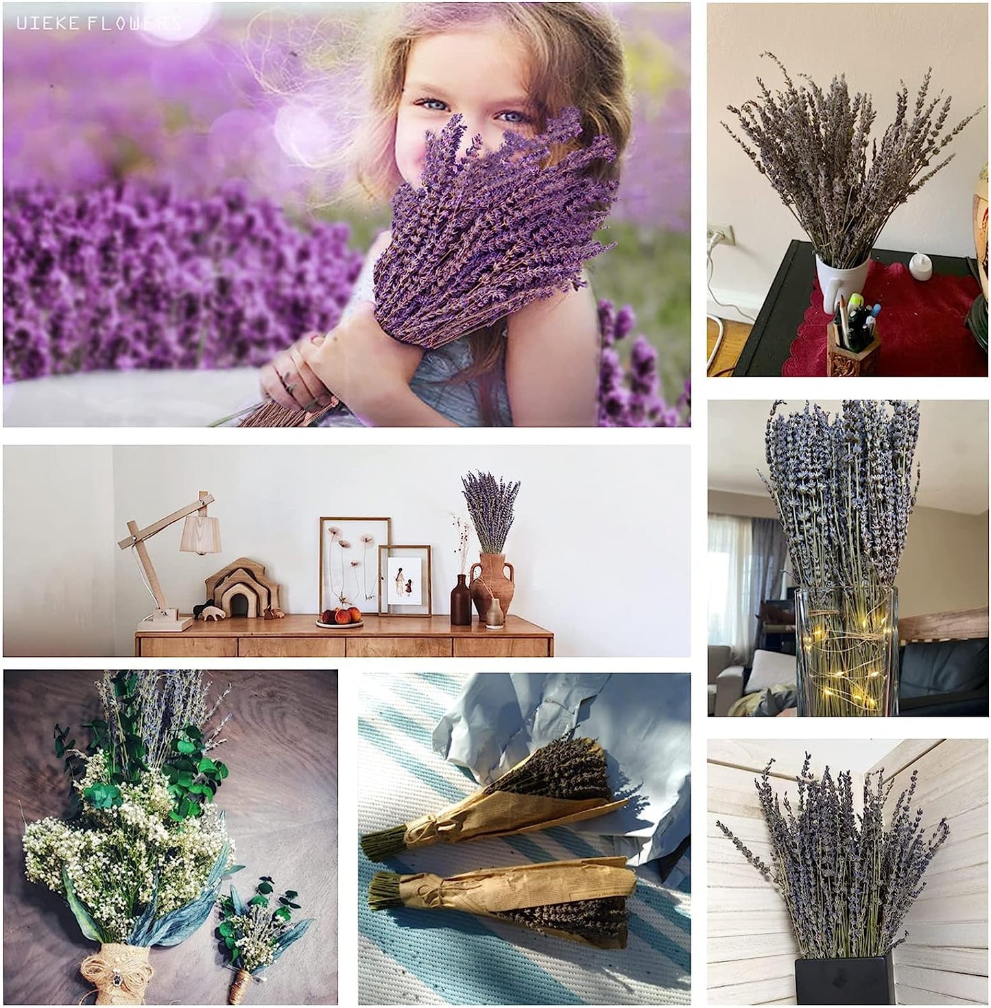 dried_flower - preserved_flower - fake_flower - 280-300Stems 16“ Dried Lavender Bundles Natural Flowers Arrangements for Home - Molly Garden - Molly_Garden_Floral