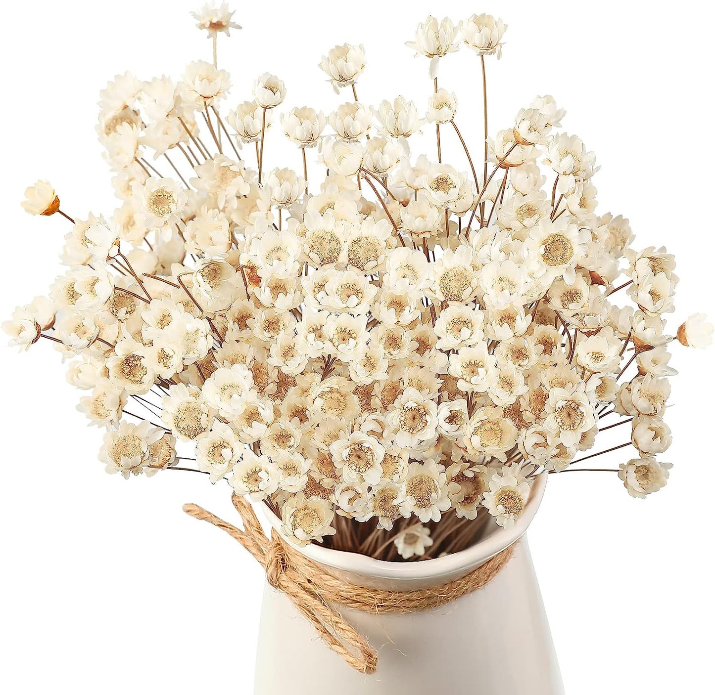 dried_flower - preserved_flower - fake_flower - 200Pcs Natural Dry Flowers Brazilian Small Star Daisy Dried Mini Chamomile Bouquet - Molly Garden - Molly_Garden_Floral