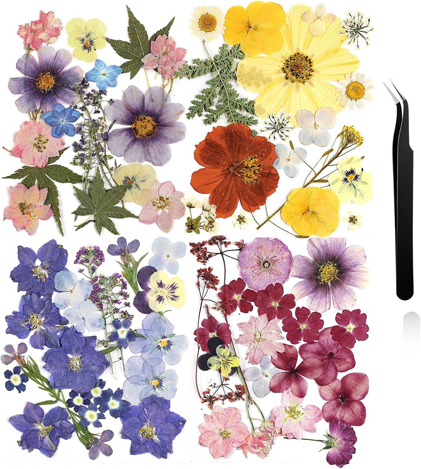 dried_flower - preserved_flower - fake_flower - Pressed Flowers Resin for Resin Mold Real Natural Daisy Dried Leaves - Molly Garden - Molly_Garden_Floral