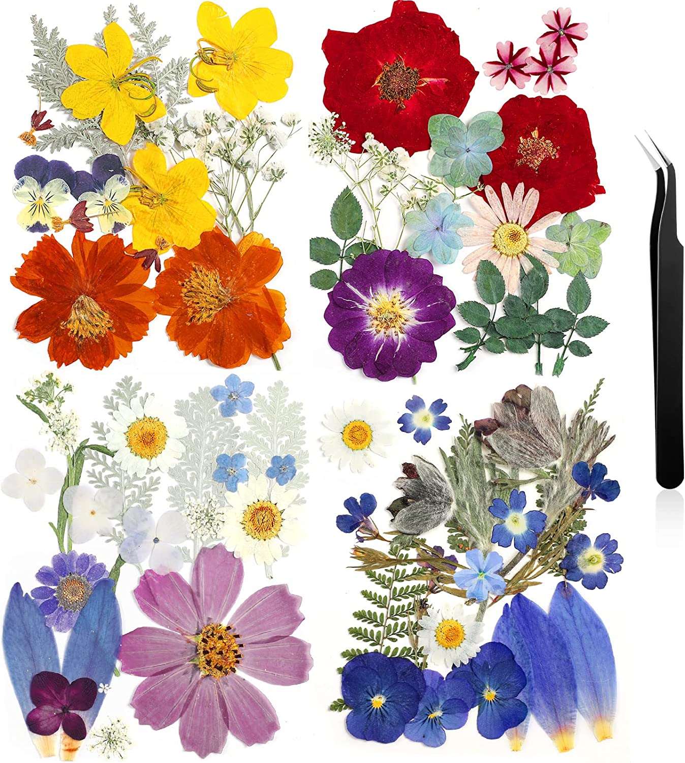 dried_flower - preserved_flower - fake_flower - Pressed Flowers Resin for Resin Mold Real Natural Daisy Dried Leaves - Molly Garden - Molly_Garden_Floral