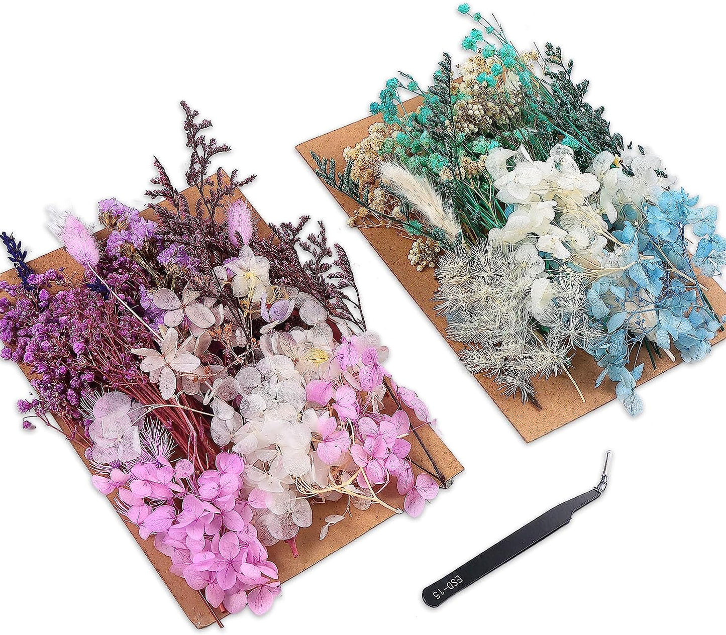 dried_flower - preserved_flower - fake_flower - Real Dried Leaf Flowers Plant Herbarium with Tweezers for Resin Molds Craft - Molly Garden - Molly_Garden_Floral