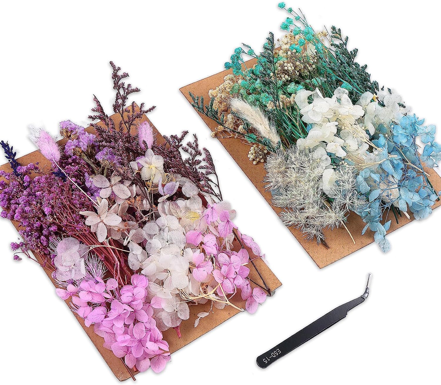 dried_flower - preserved_flower - fake_flower - Real Dried Leaf Flowers Plant Herbarium with Tweezers for Resin Molds Craft - Molly Garden - Molly_Garden_Floral