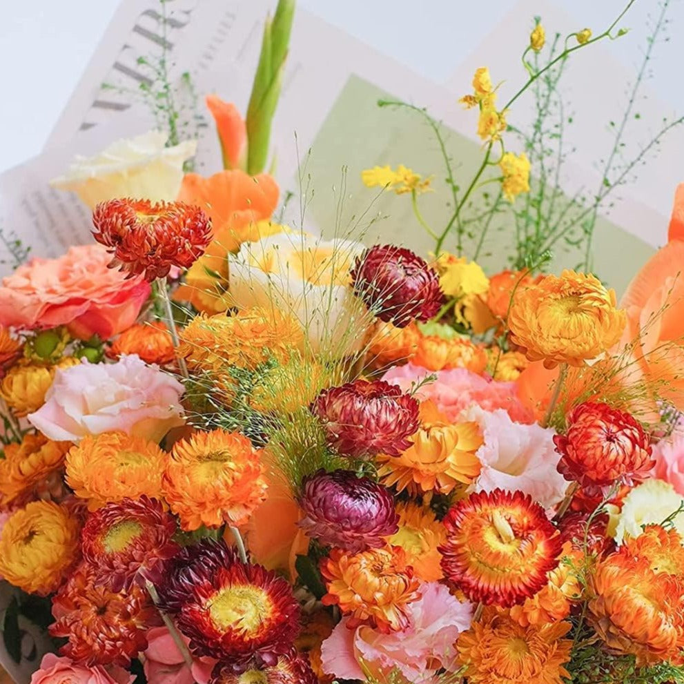 dried_flower - preserved_flower - fake_flower - 40Pcs Natural Dried Daisy Flower Wedding Floral Arrangement Home Decoration - Molly Garden - Molly_Garden_Floral