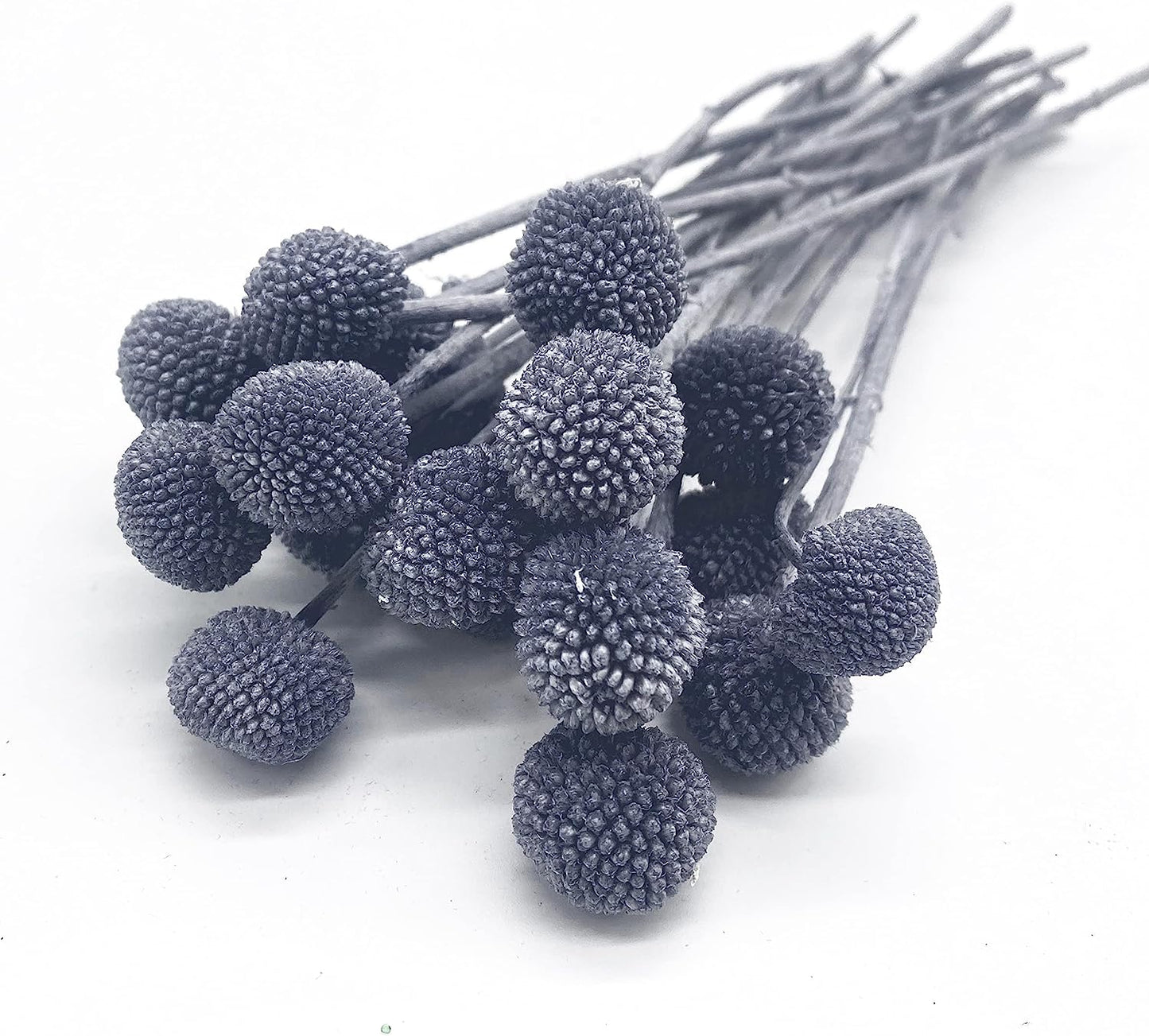dried_flower - preserved_flower - fake_flower - 20Pcs Natural Dried Flowers Billy Balls 16" Bouquet Floral Arrangements Bouquet - Molly Garden - Molly_Garden_Floral