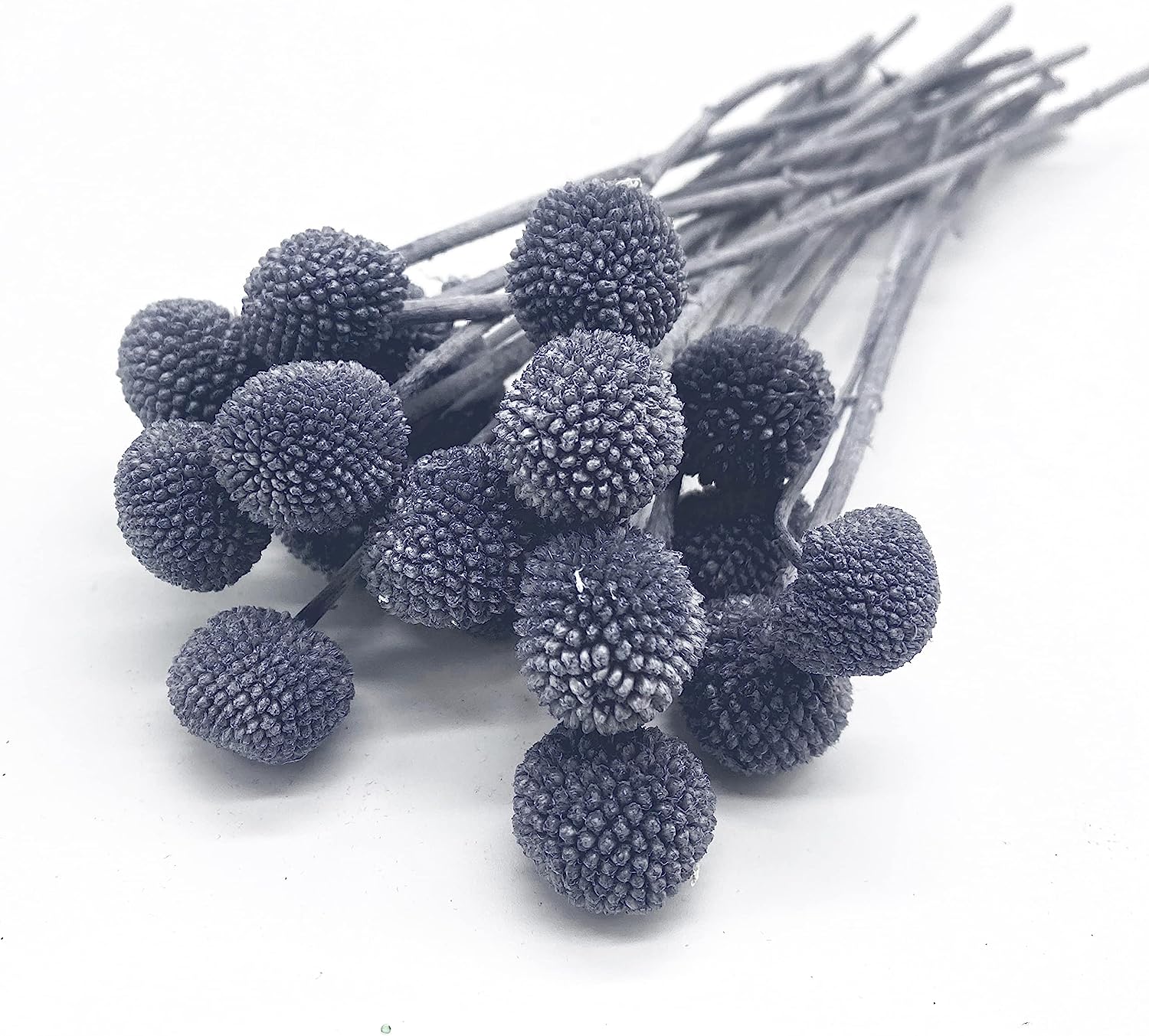 dried_flower - preserved_flower - fake_flower - 20Pcs Natural Dried Flowers Billy Balls 16" Bouquet Floral Arrangements Bouquet - Molly Garden - Molly_Garden_Floral