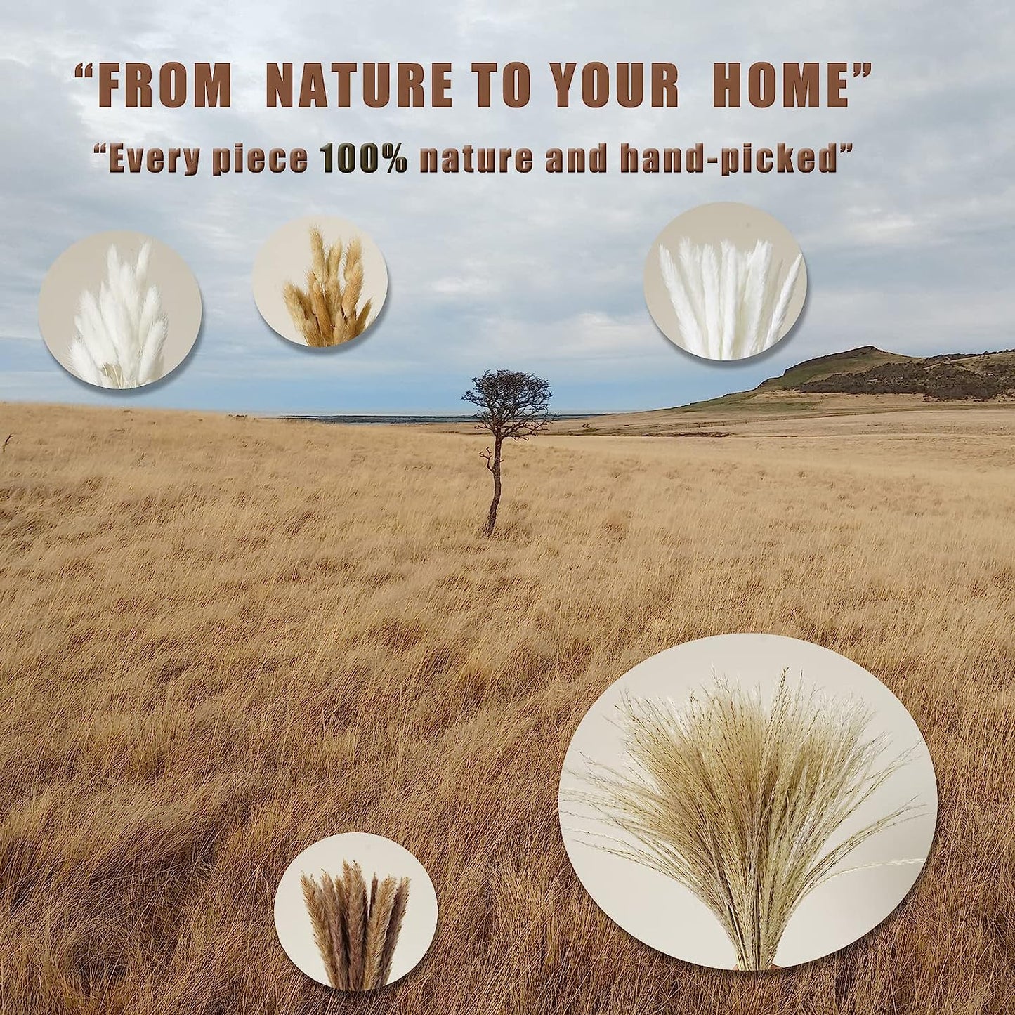dried_flower - preserved_flower - fake_flower - 120Pcs Dried Pampas Grass Home Decor with Bunny Tails Reed Grass Bouquet - Molly Garden - Molly_Garden_Floral