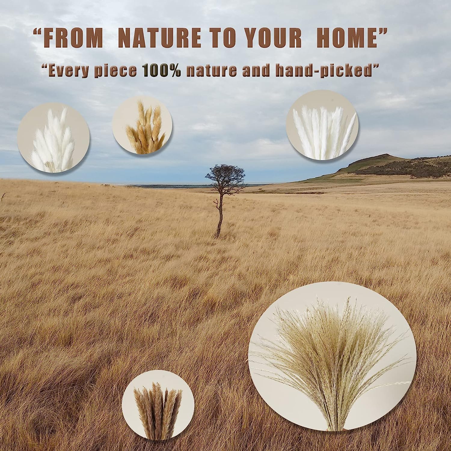 dried_flower - preserved_flower - fake_flower - 120Pcs Dried Pampas Grass Home Decor with Bunny Tails Reed Grass Bouquet - Molly Garden - Molly_Garden_Floral