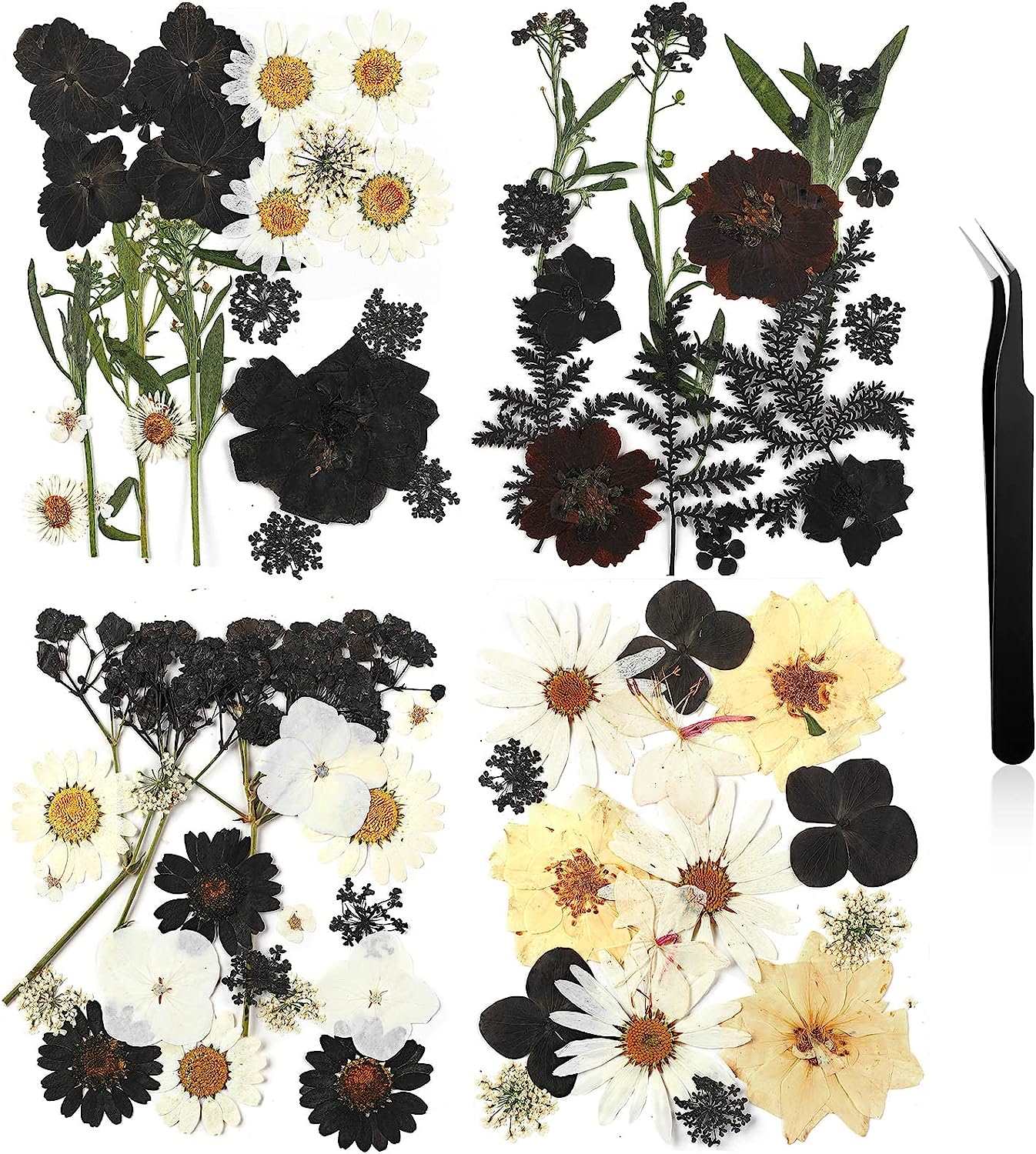 dried_flower - preserved_flower - fake_flower - Pressed Flowers Resin for Resin Mold Real Natural Daisy Dried Leaves - Molly Garden - Molly_Garden_Floral