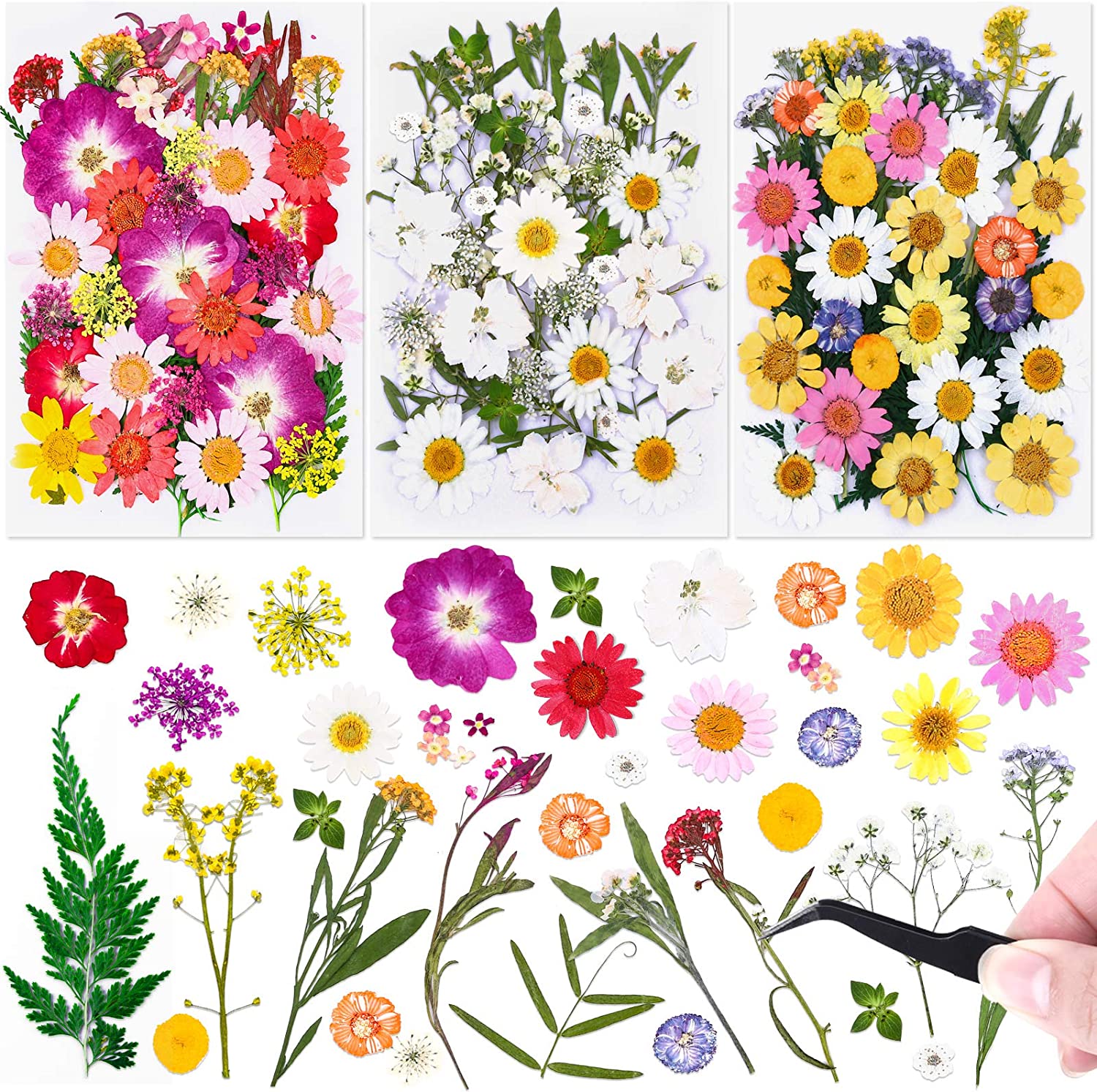 dried_flower - preserved_flower - fake_flower - 120Pcs Dried Flowers for Resin Molds Natural Pressed Leaves Herbs kit with Tweezers - Molly Garden - Molly_Garden_Floral