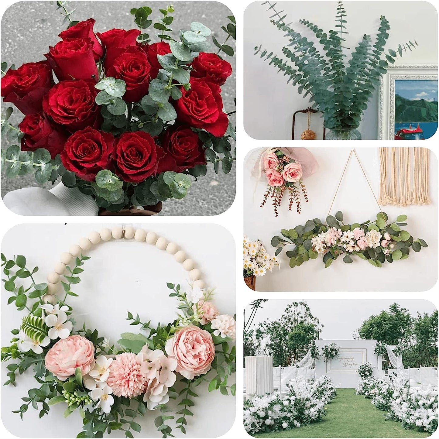dried_flower - preserved_flower - fake_flower - 14Pcs Real Eucalyptus Stem Dried Preserved Natural 17" Fresh Bundle for Shower - Molly Garden - Molly_Garden_Floral