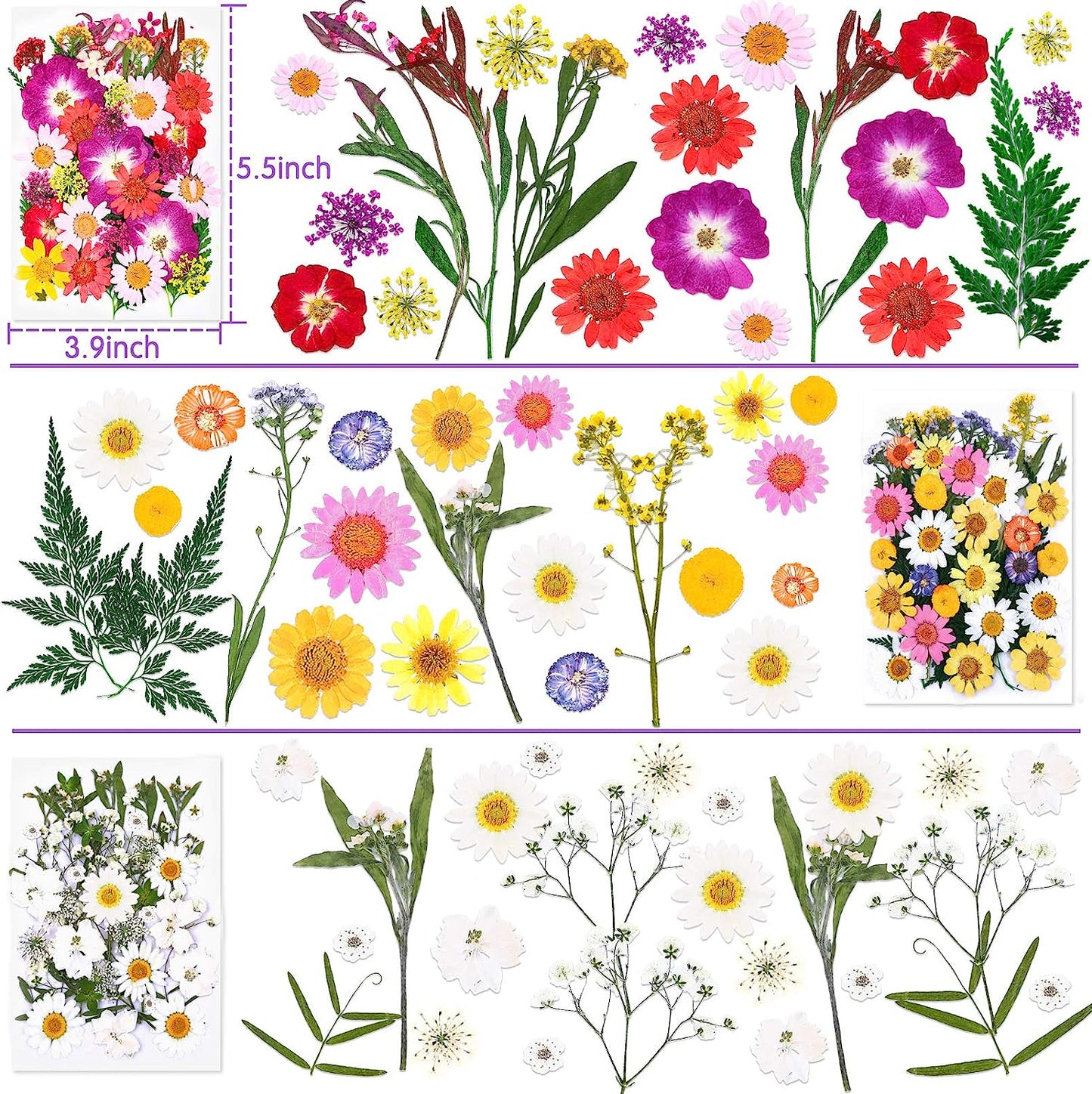 dried_flower - preserved_flower - fake_flower - 120Pcs Dried Flowers for Resin Molds Natural Pressed Leaves Herbs kit with Tweezers - Molly Garden - Molly_Garden_Floral