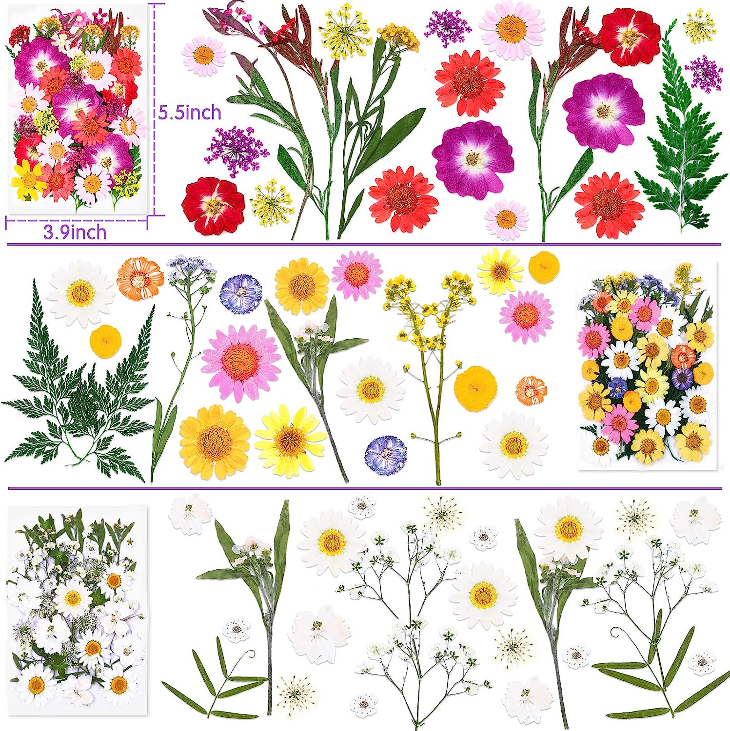 dried_flower - preserved_flower - fake_flower - 120Pcs Dried Flowers for Resin Molds Natural Pressed Leaves Herbs kit with Tweezers - Molly Garden - Molly_Garden_Floral