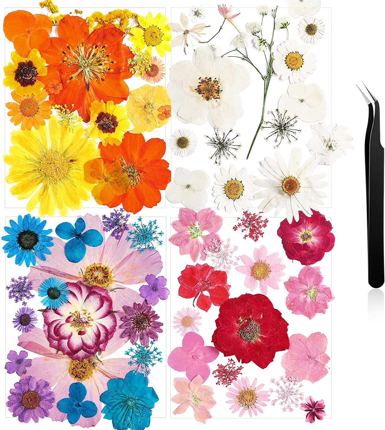 dried_flower - preserved_flower - fake_flower - Pressed Flowers Resin for Resin Mold Real Natural Daisy Dried Leaves - Molly Garden - Molly_Garden_Floral