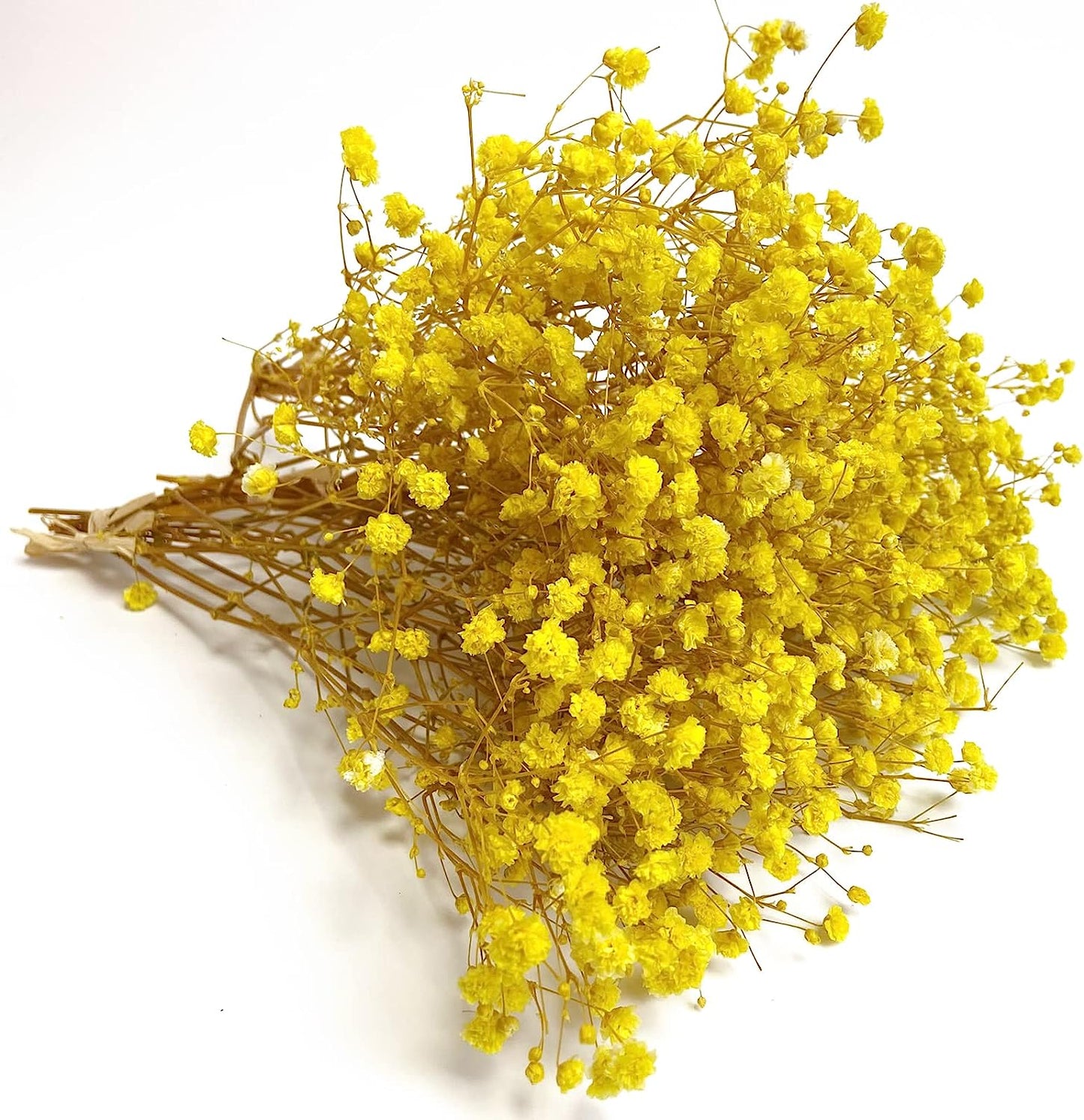 dried_flower - preserved_flower - fake_flower - 3Bunches Preserved Babys Breath 100% Natrual Fresh Gypsophila Long Lasting Flowers - Molly Garden - Molly_Garden_Floral