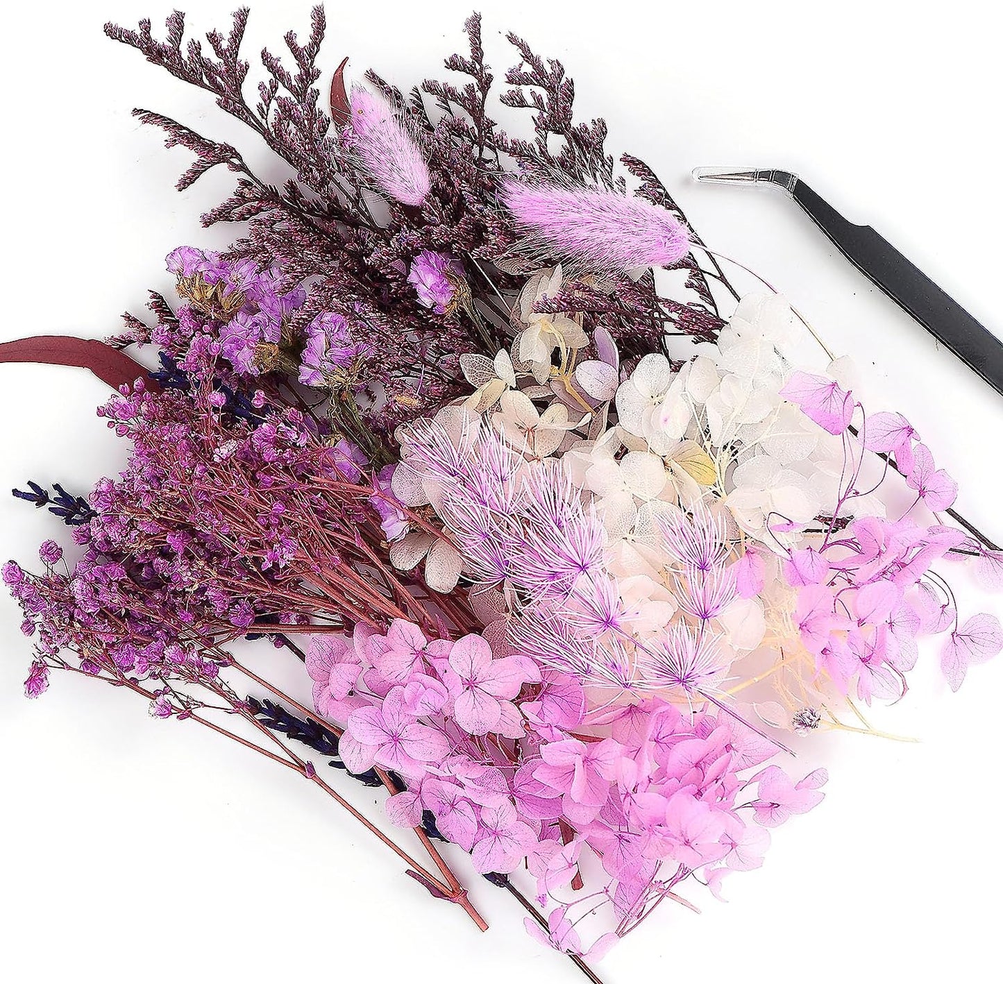 dried_flower - preserved_flower - fake_flower - Real Dried Leaf Flowers Plant Herbarium with Tweezers for Resin Molds Craft - Molly Garden - Molly_Garden_Floral