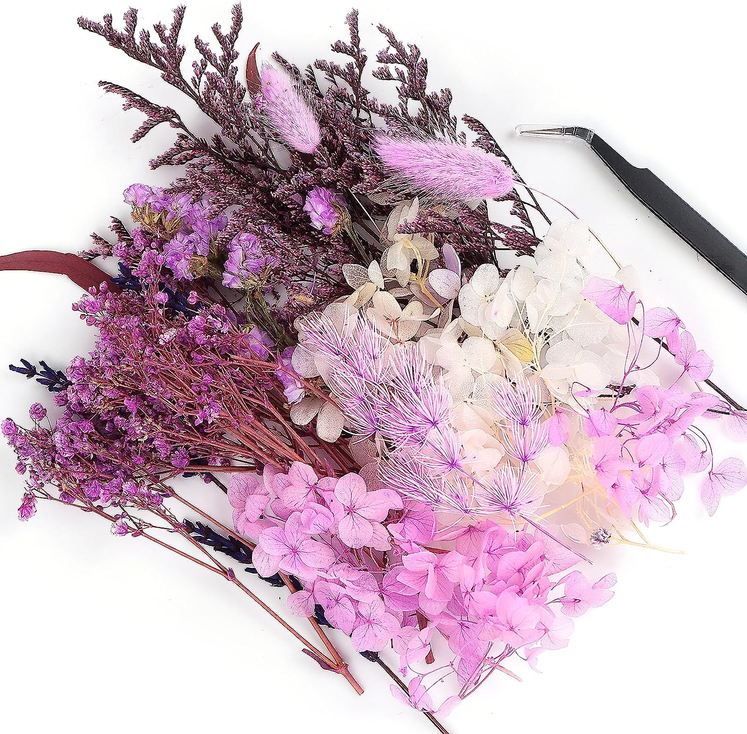 dried_flower - preserved_flower - fake_flower - Real Dried Leaf Flowers Plant Herbarium with Tweezers for Resin Molds Craft - Molly Garden - Molly_Garden_Floral