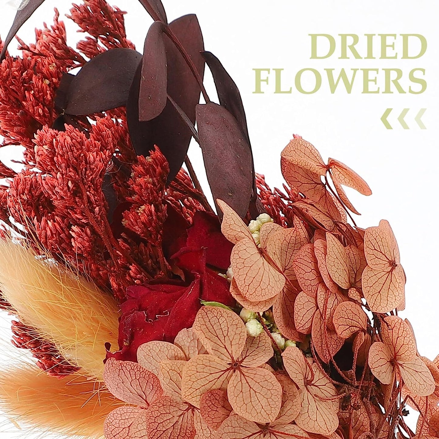 dried_flower - preserved_flower - fake_flower - 6Pcs Natural Dried Flower Bouquet Plant Bundle Preserved Floral for Decoration - Molly Garden - Molly_Garden_Floral