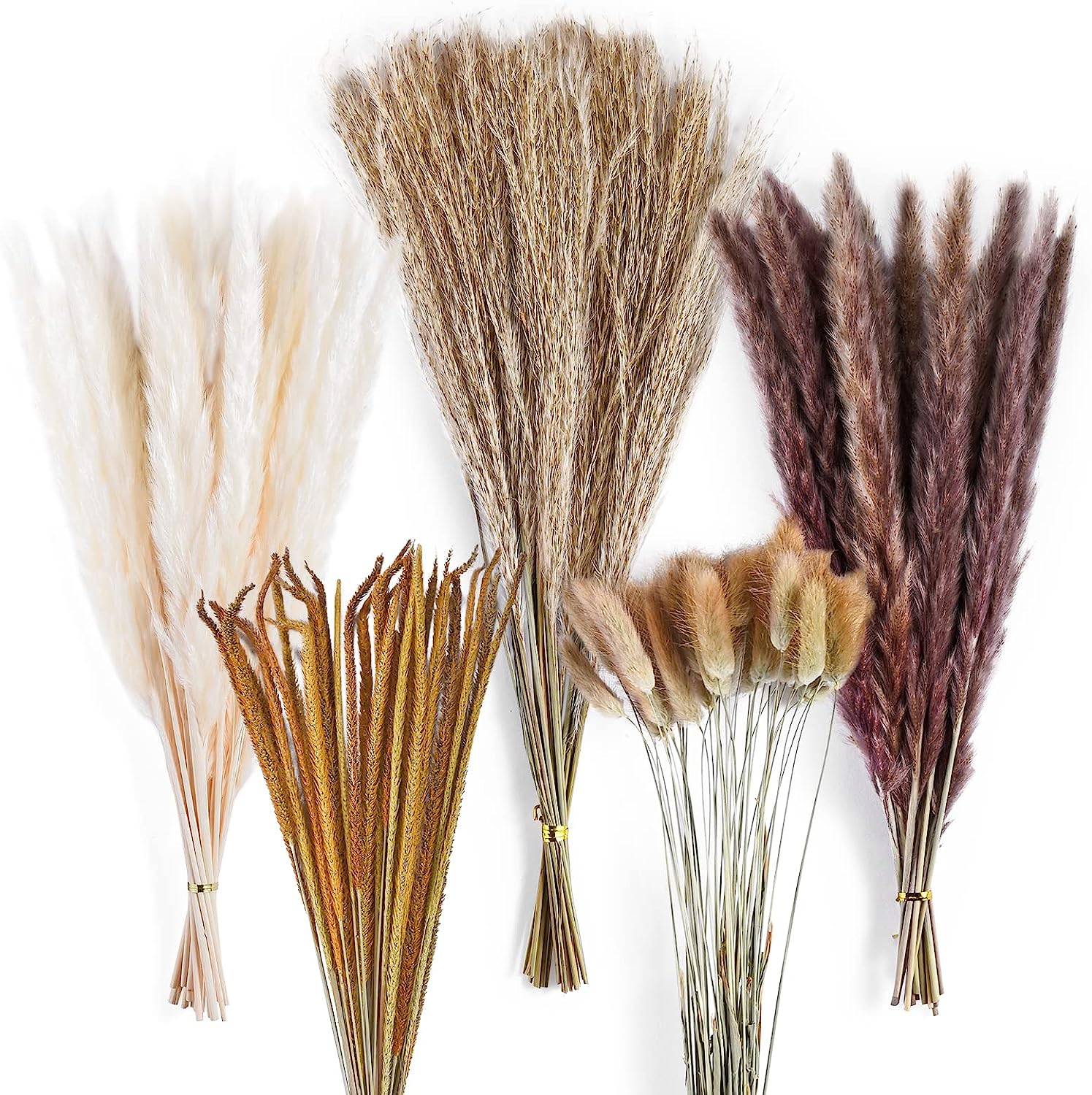 dried_flower - preserved_flower - fake_flower - 120Pcs Natural Dried Pampas Grass Bouquet Decor Christmas Decorations - Molly Garden - Molly_Garden_Floral
