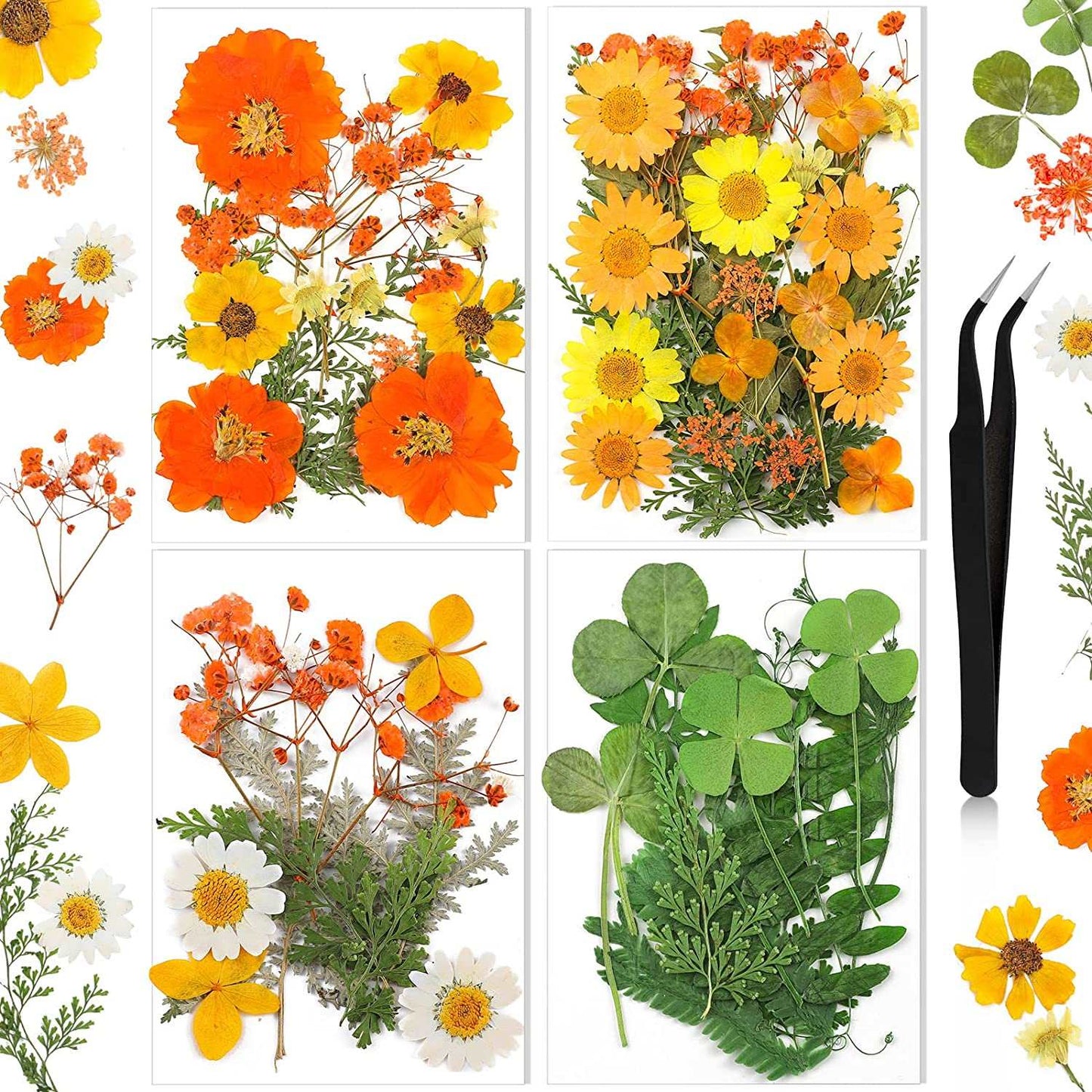 dried_flower - preserved_flower - fake_flower - Pressed Flowers Resin for Resin Mold Real Natural Daisy Dried Leaves - Molly Garden - Molly_Garden_Floral