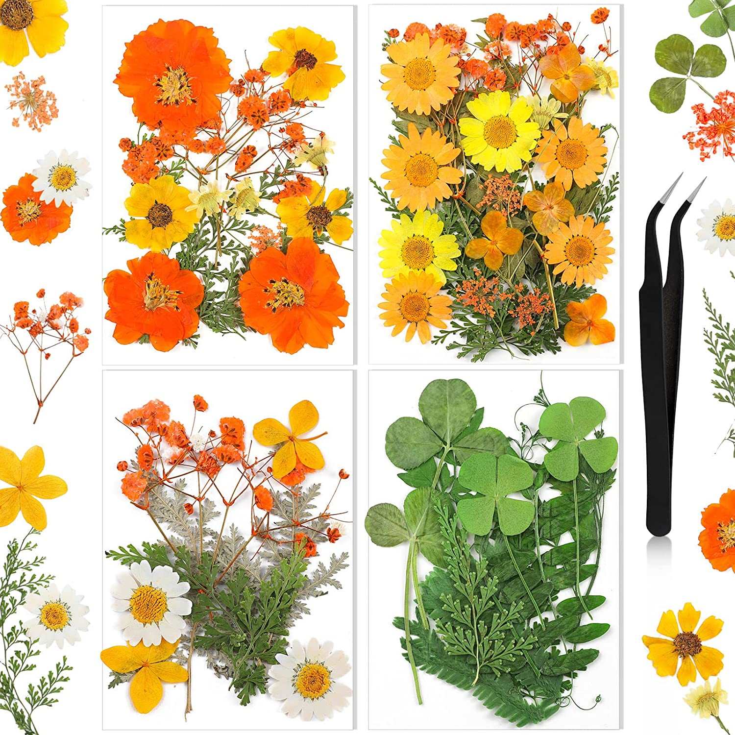 dried_flower - preserved_flower - fake_flower - Pressed Flowers Resin for Resin Mold Real Natural Daisy Dried Leaves - Molly Garden - Molly_Garden_Floral
