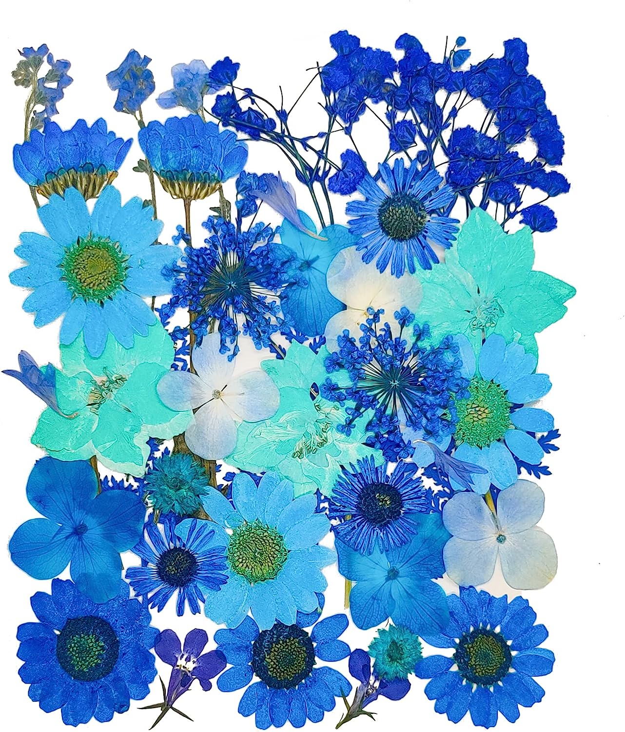 dried_flower - preserved_flower - fake_flower - 37Pcs 18Types Dried Pressed Flowers for Resin Molds YouthBro Real Natural - Molly Garden - Molly_Garden_Floral