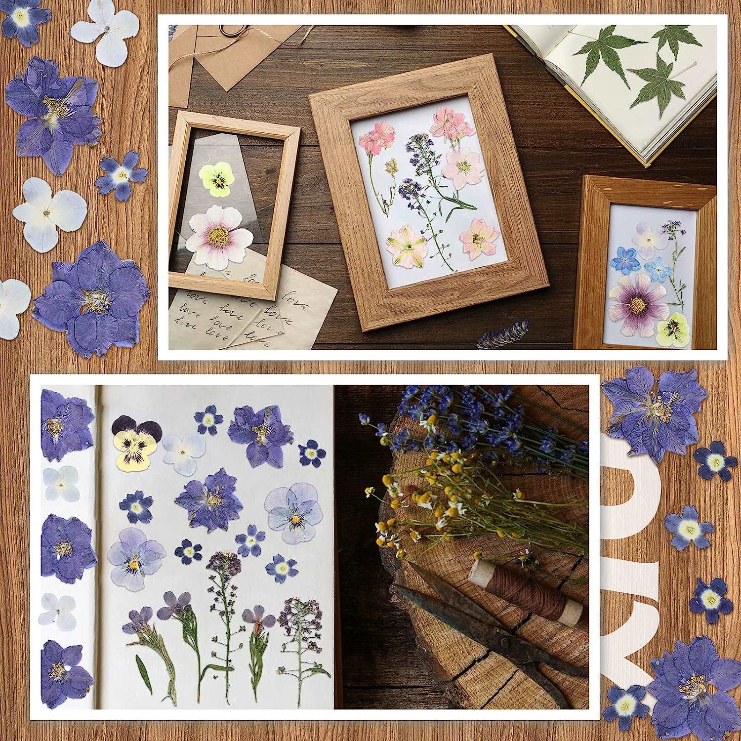 dried_flower - preserved_flower - fake_flower - Pressed Flowers Resin for Resin Mold Real Natural Daisy Dried Leaves - Molly Garden - Molly_Garden_Floral