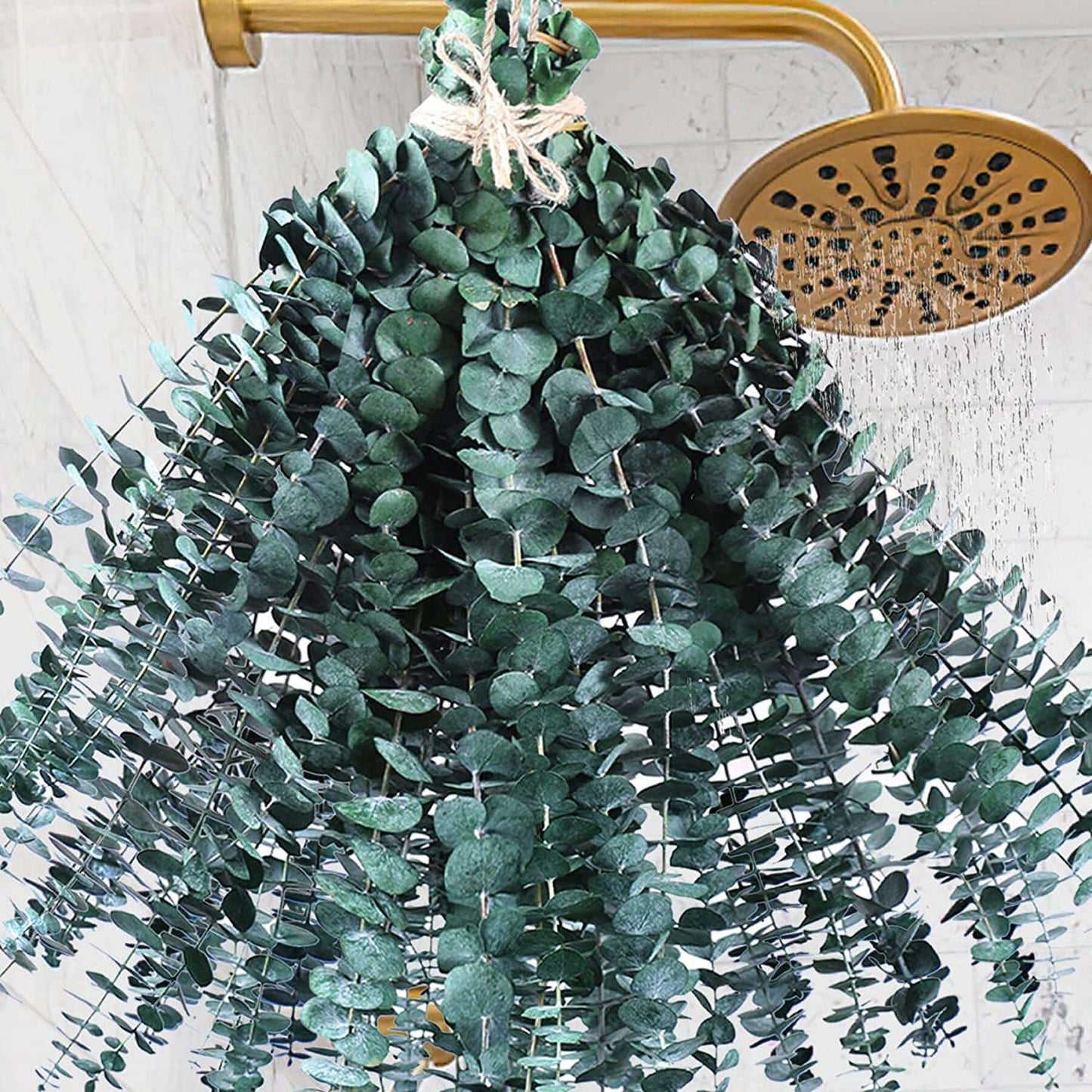 dried_flower - preserved_flower - fake_flower - 48PCS Large Dried Preserved Eucalyptus Stems 100% Natural Fresh Plant - Molly Garden - Molly_Garden_Floral