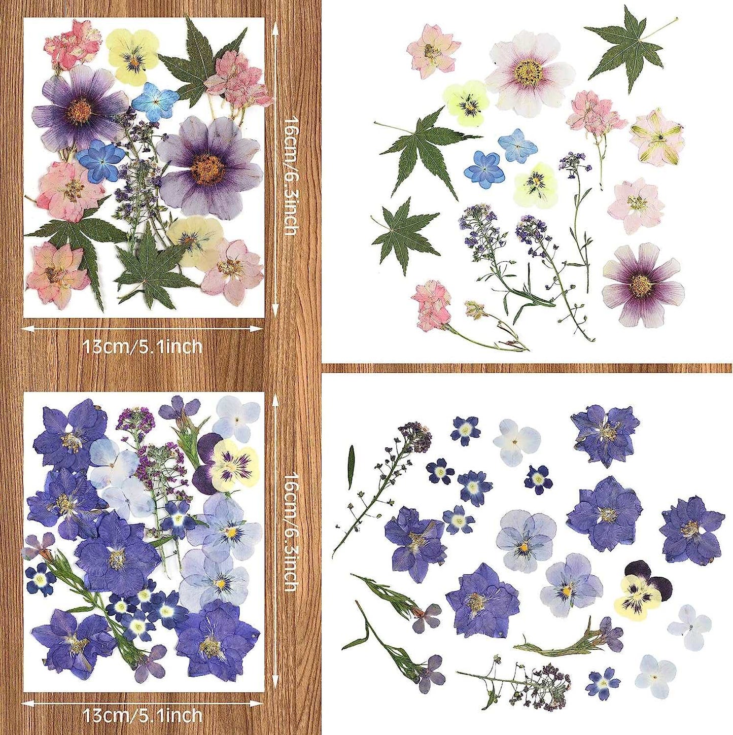 dried_flower - preserved_flower - fake_flower - Pressed Flowers Resin for Resin Mold Real Natural Daisy Dried Leaves - Molly Garden - Molly_Garden_Floral
