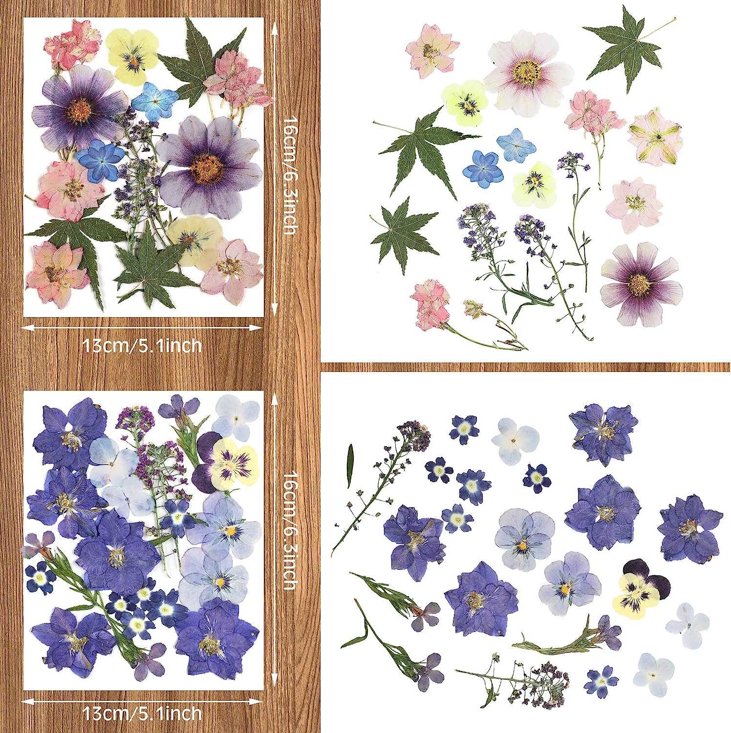 dried_flower - preserved_flower - fake_flower - Pressed Flowers Resin for Resin Mold Real Natural Daisy Dried Leaves - Molly Garden - Molly_Garden_Floral