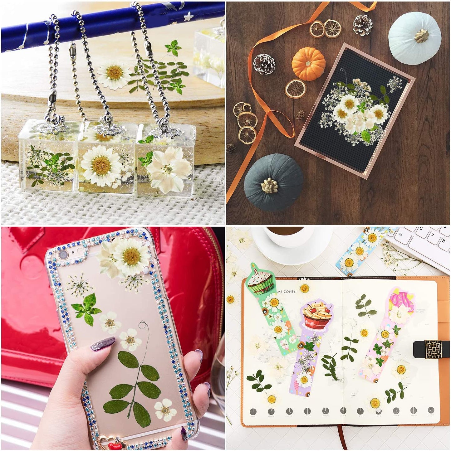 dried_flower - preserved_flower - fake_flower - 81Pcs White Dried Pressed Flowers Leaves Natural Larkspur Gypsophila for Resin - Molly Garden - Molly_Garden_Floral