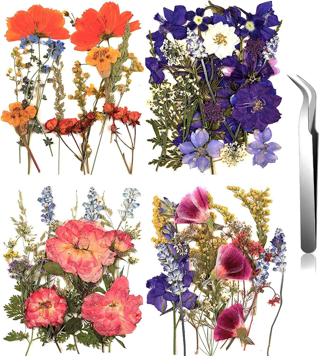 dried_flower - preserved_flower - fake_flower - Pressed Flowers Resin for Resin Mold Real Natural Daisy Dried Leaves - Molly Garden - Molly_Garden_Floral