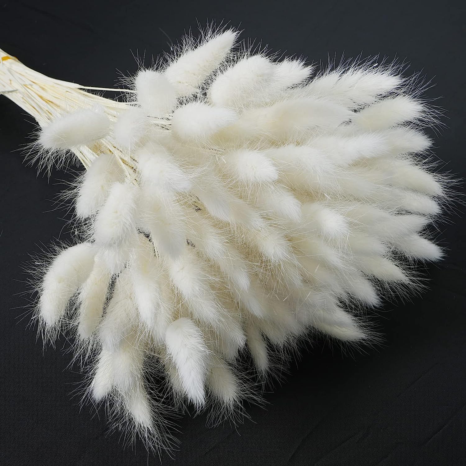 dried_flower - preserved_flower - fake_flower - 120Pcs Dried Bunny Tails Flowers Rabbit Tail Grass Lagurus Ovatus Bouquet - Molly Garden - Molly_Garden_Floral