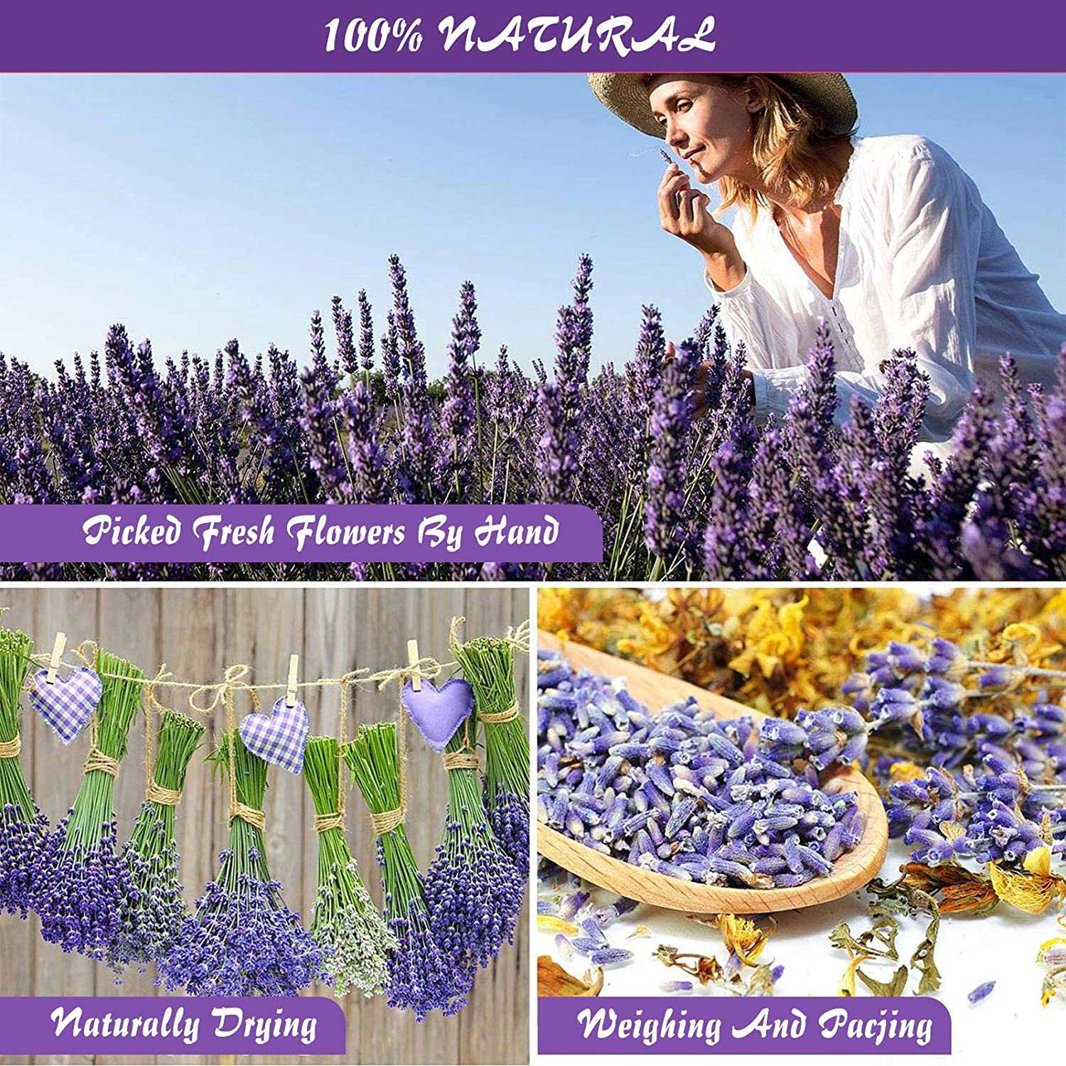 dried_flower - preserved_flower - fake_flower - 16Bags Dried Flowers 100% Natural Herbs Kit for Soap Candle DIY Making - Molly Garden - Molly_Garden_Floral
