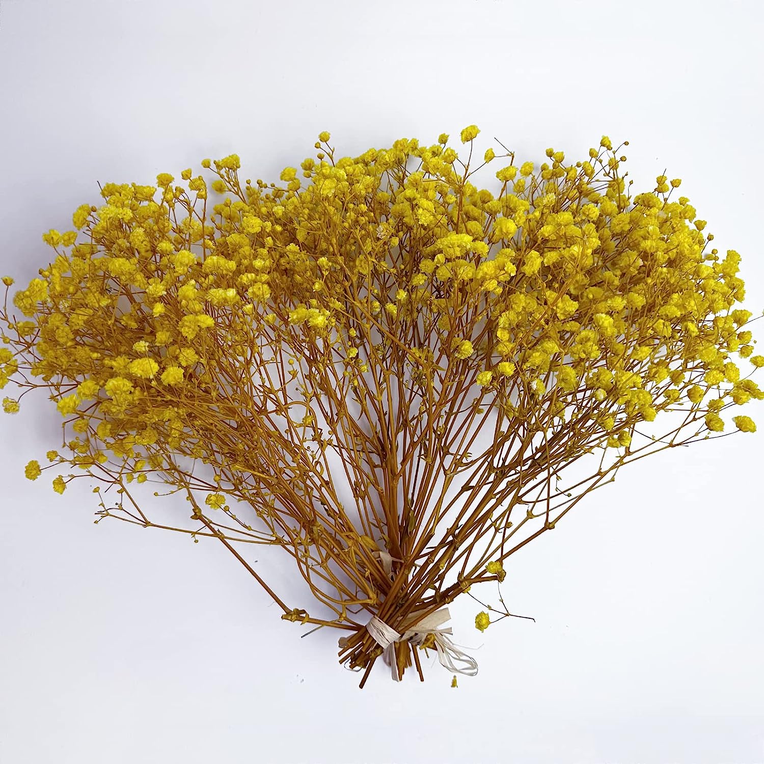 dried_flower - preserved_flower - fake_flower - 3Bunches Preserved Babys Breath 100% Natrual Fresh Gypsophila Long Lasting Flowers - Molly Garden - Molly_Garden_Floral