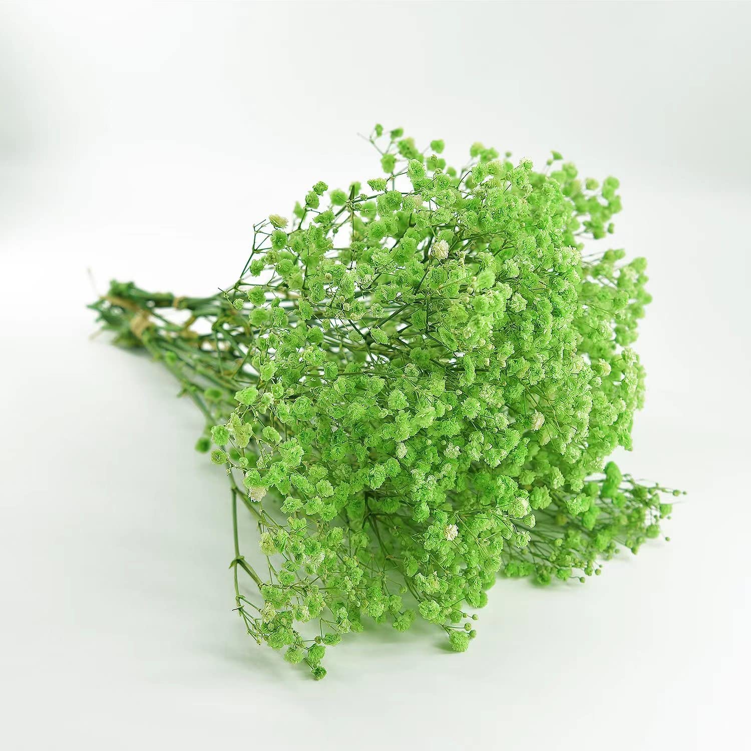 dried_flower - preserved_flower - fake_flower - 3Bunches Preserved Babys Breath 100% Natrual Fresh Gypsophila Long Lasting Flowers - Molly Garden - Molly_Garden_Floral