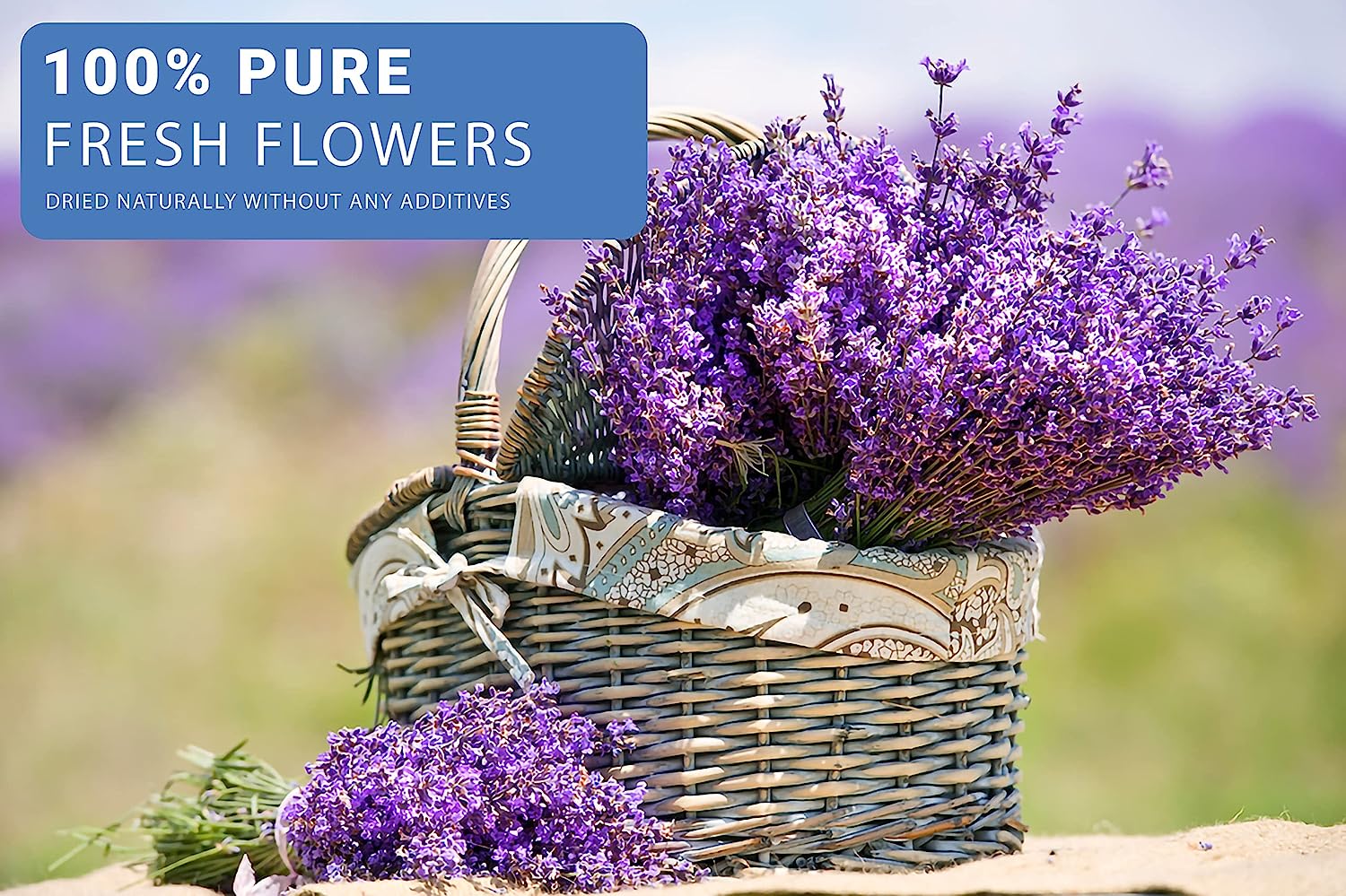 dried_flower - preserved_flower - fake_flower - 16Bags Dried Flowers for Soap Making for Candle Making Herbs for Candle Oil - Molly Garden - Molly_Garden_Floral