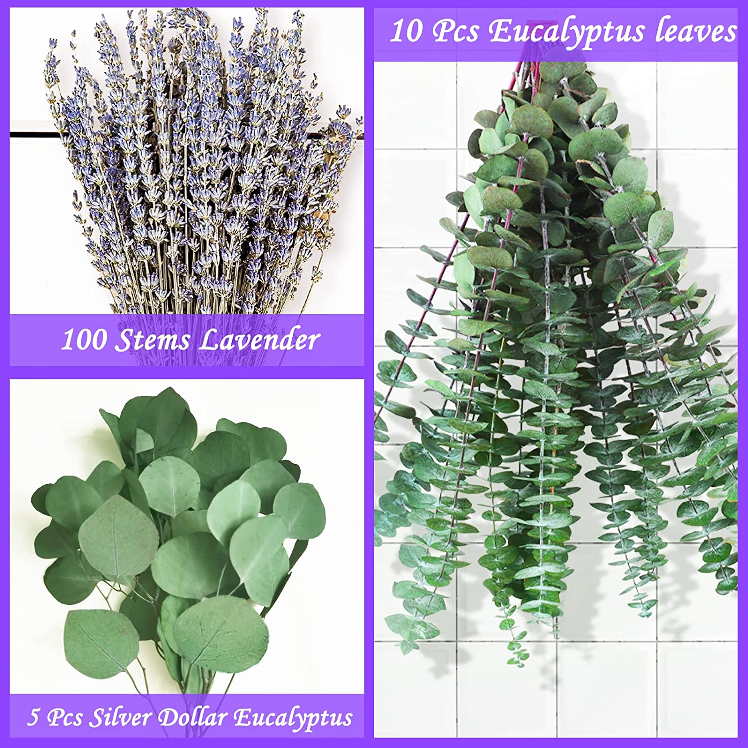 dried_flower - preserved_flower - fake_flower - 115Pcs Large Dried Preserved Eucalyptus Stems & Lavender Flowers Bundle - Molly Garden - Molly_Garden_Floral