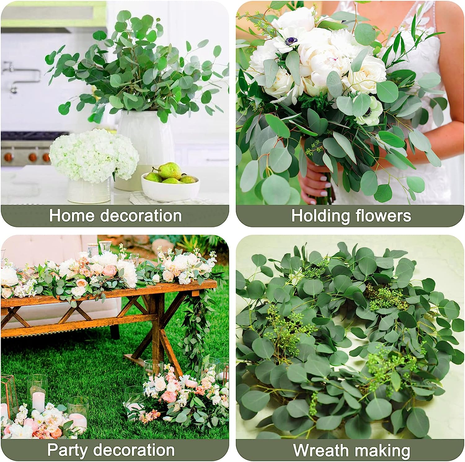 dried_flower - preserved_flower - fake_flower - 15-20Pcs Preserved Dried Eucalyptus Stems 100% Natural Real Silver Dollar Leaves - Molly Garden - Molly_Garden_Floral