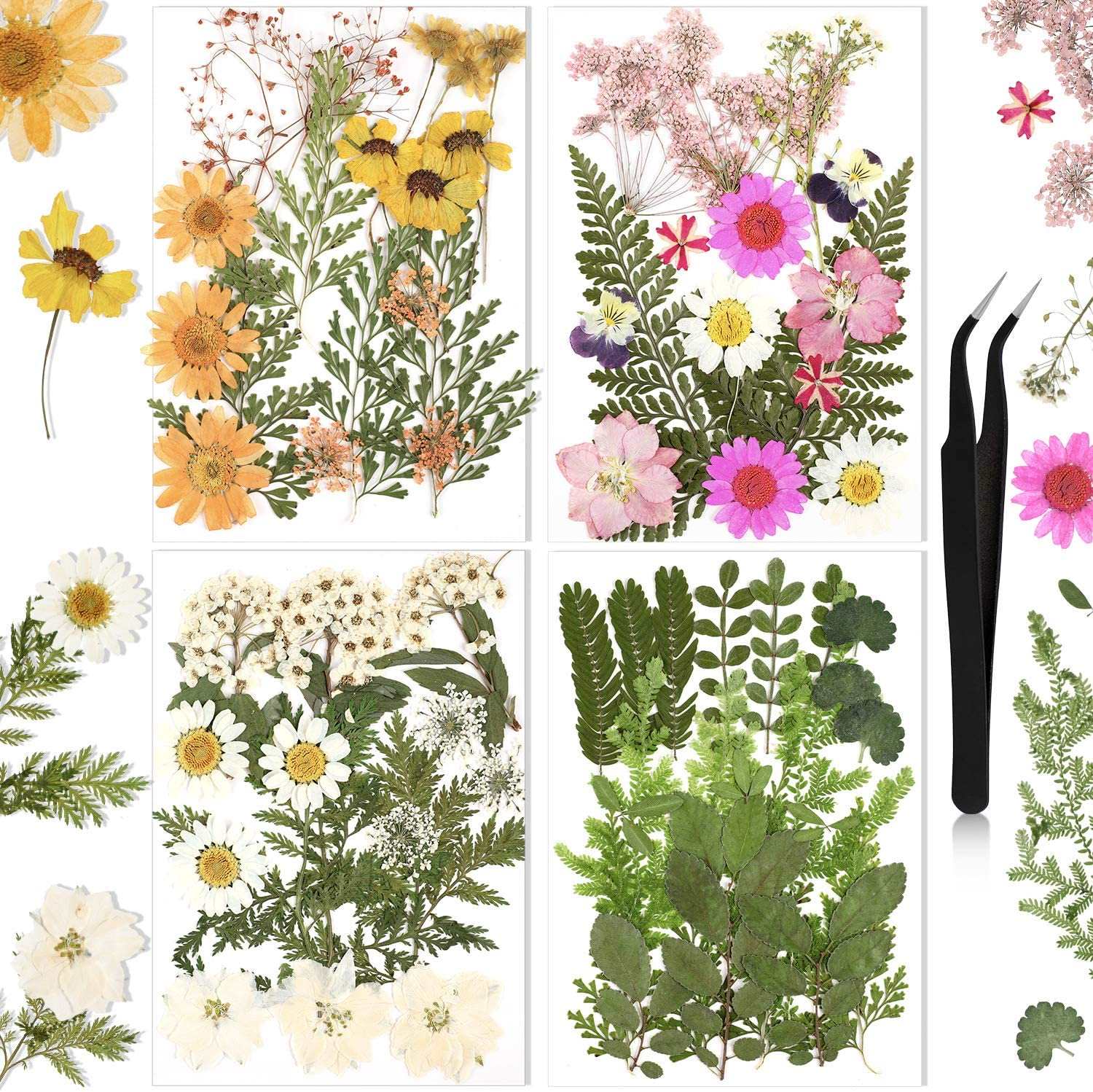 dried_flower - preserved_flower - fake_flower - Pressed Flowers Resin for Resin Mold Real Natural Daisy Dried Leaves - Molly Garden - Molly_Garden_Floral