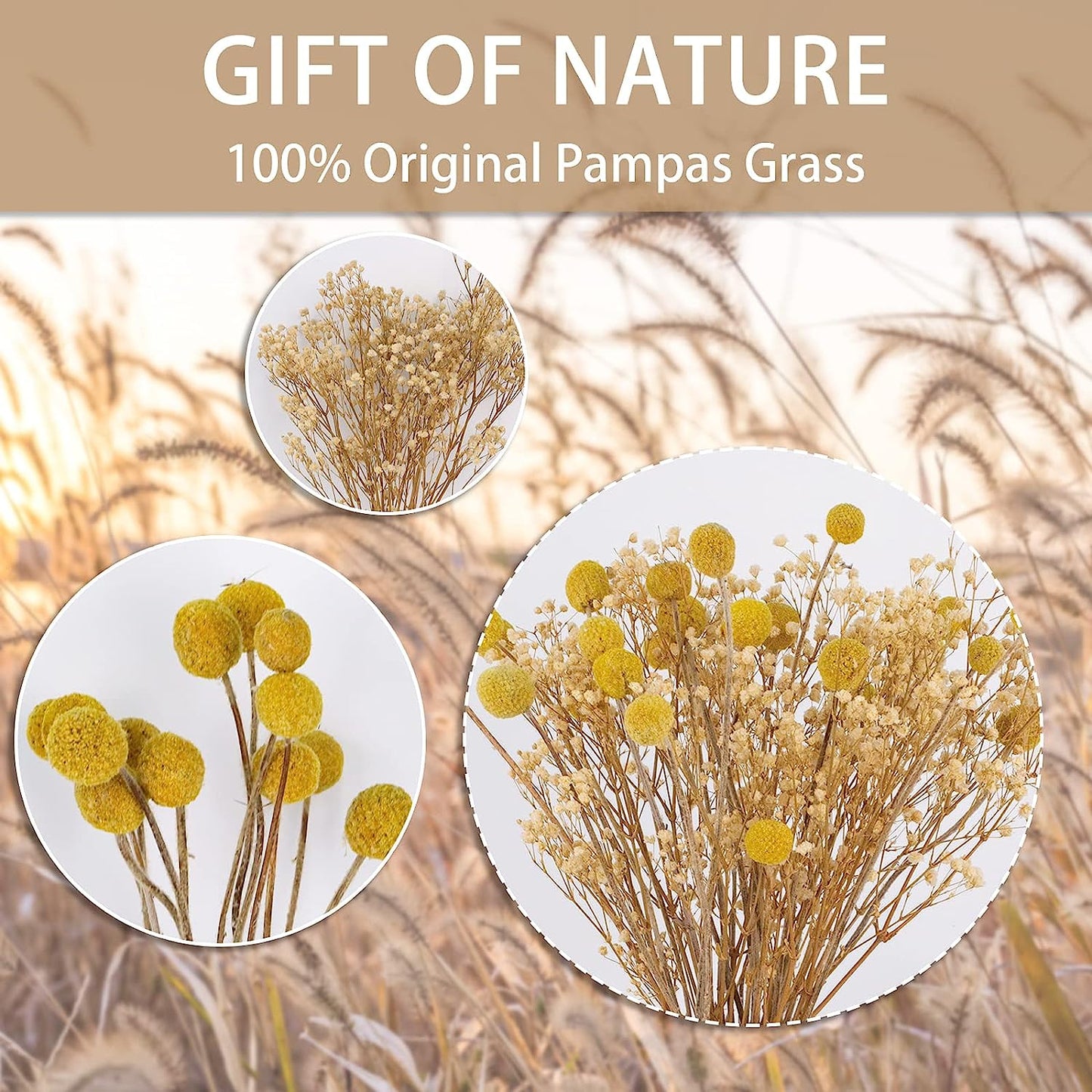 dried_flower - preserved_flower - fake_flower - 25Pcs Babys Breath Boho Flower Billy Balls Natural Dried Flower Bouquet for Boho - Molly Garden - Molly_Garden_Floral