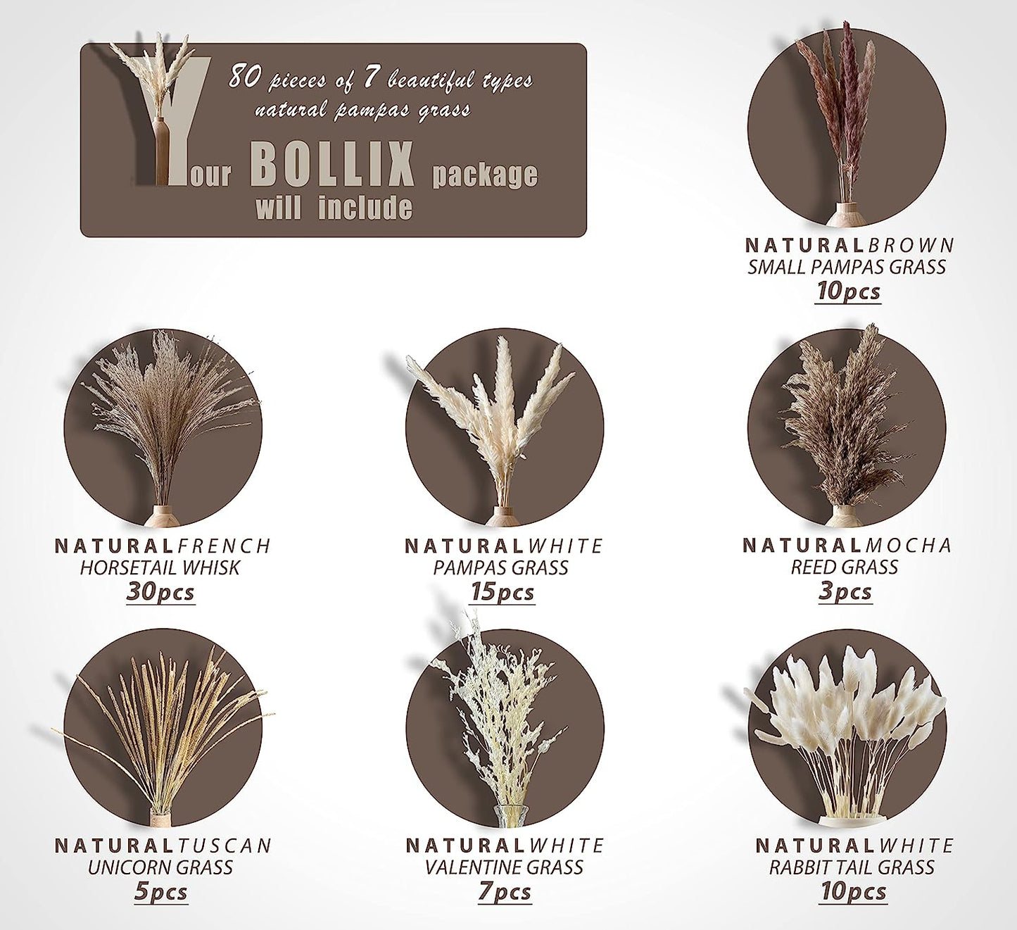 dried_flower - preserved_flower - fake_flower - 80Pcs 7 Different Natural Dried Pampas Grass Boho Bouquet for Home Decor - Molly Garden - Molly_Garden_Floral