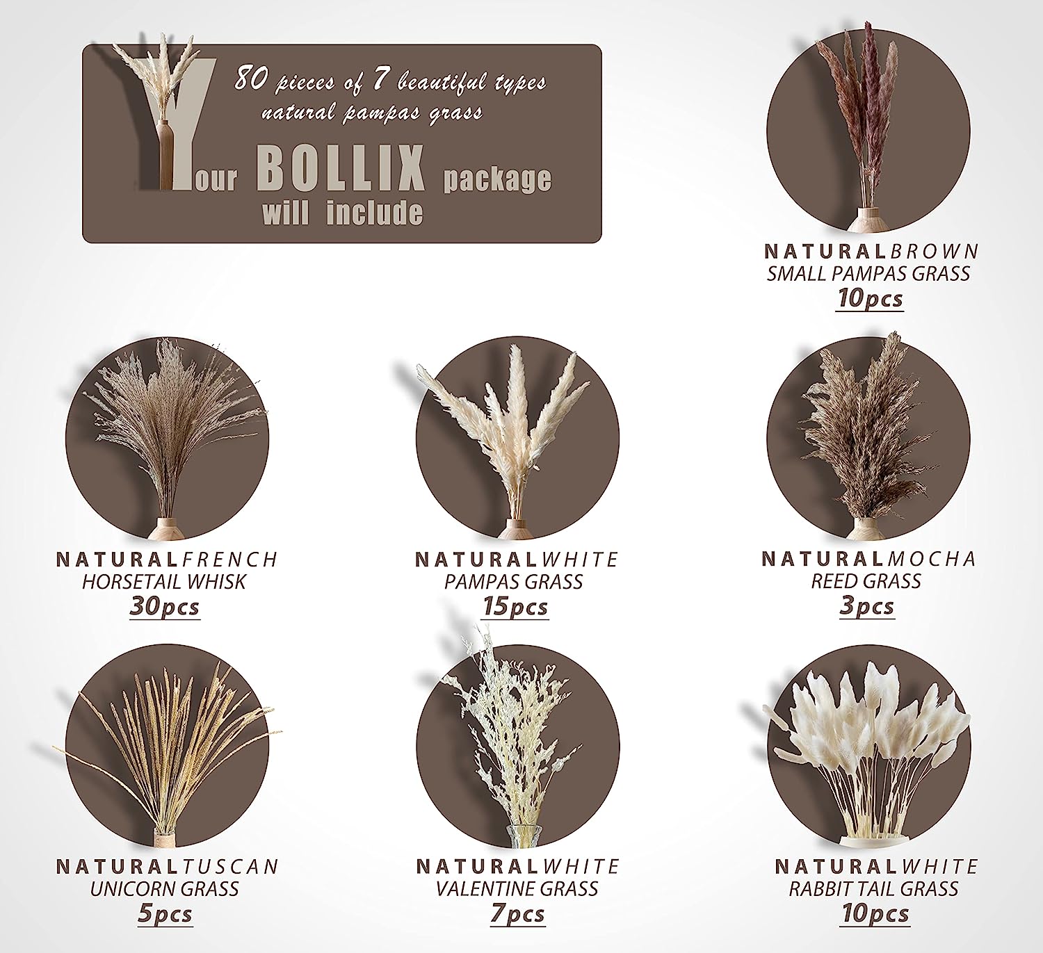 dried_flower - preserved_flower - fake_flower - 80Pcs 7 Different Natural Dried Pampas Grass Boho Bouquet for Home Decor - Molly Garden - Molly_Garden_Floral