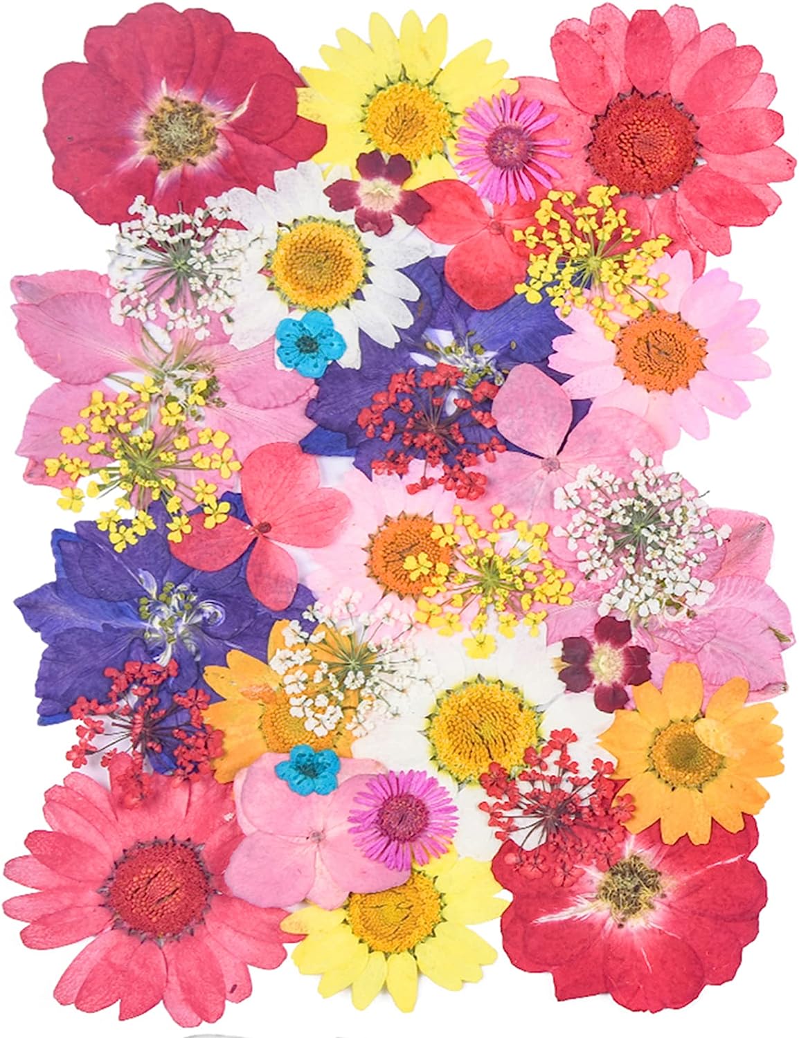 dried_flower - preserved_flower - fake_flower - 37Pcs 18Types Dried Pressed Flowers for Resin Molds YouthBro Real Natural - Molly Garden - Molly_Garden_Floral